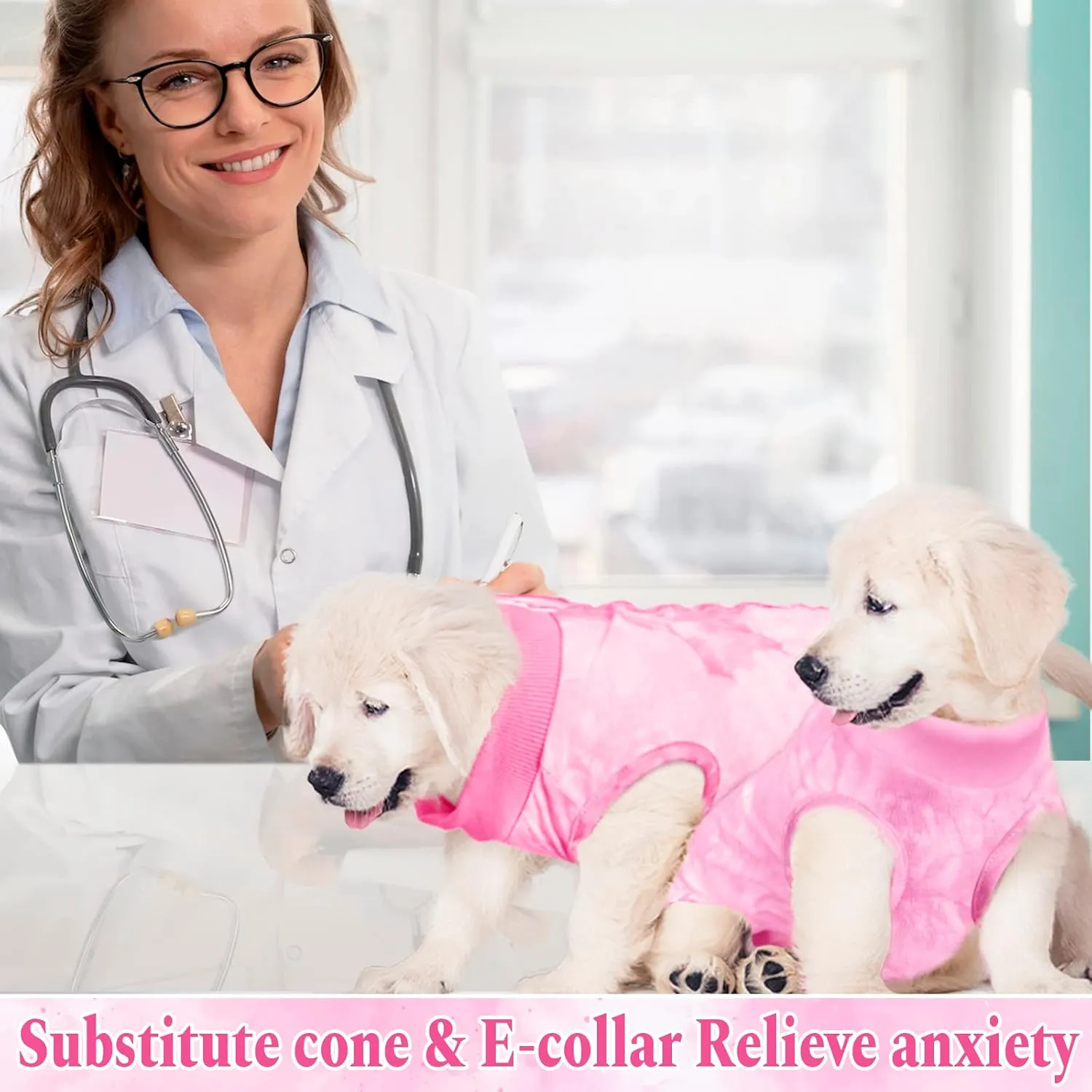 ,, E ,Neuter Dog ,,