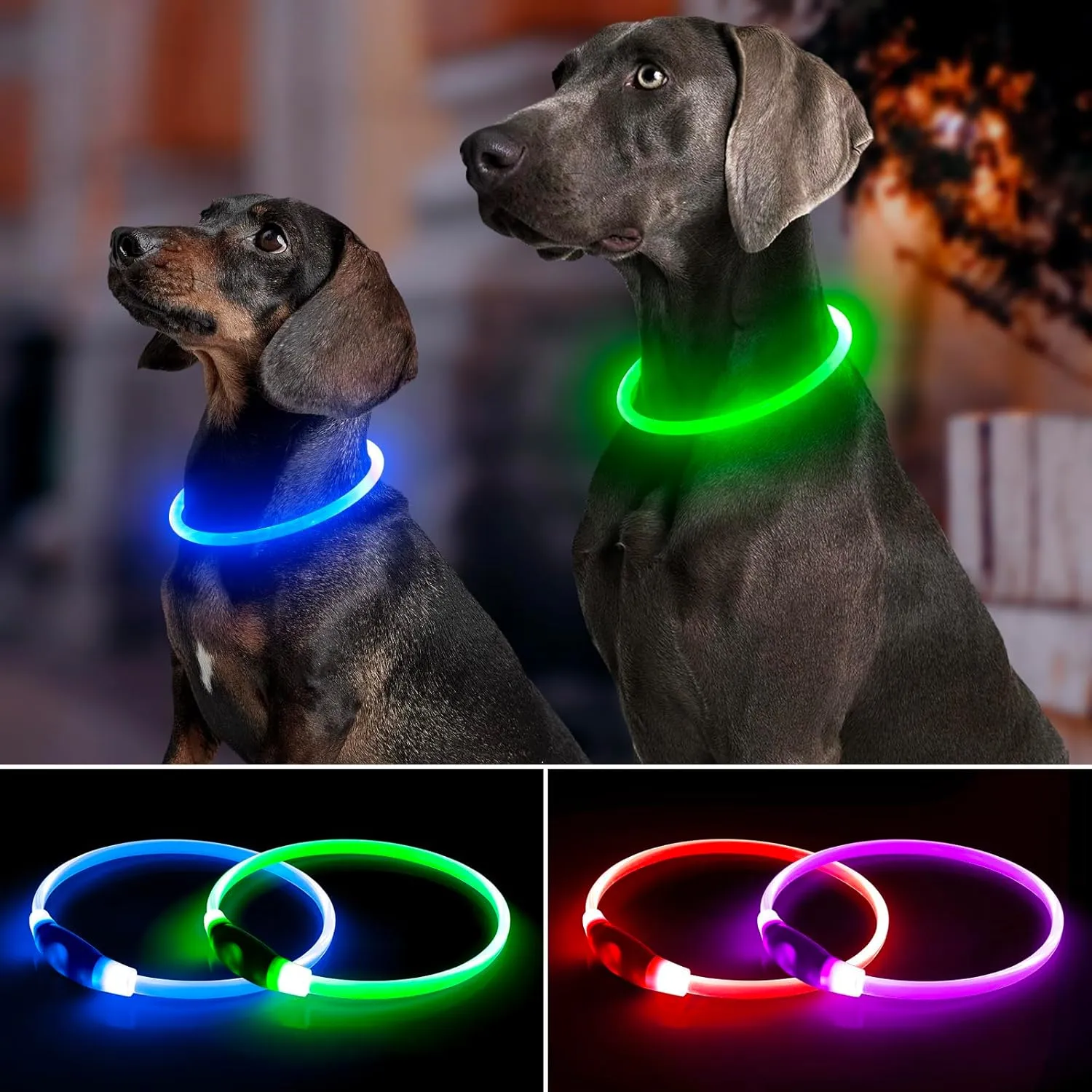 2-Pack Rechargeable LED Dog Collar Set - Illuminate Night Walks with Universal Safety Light for Small, Medium, and Large Dogs (Green&Blue)