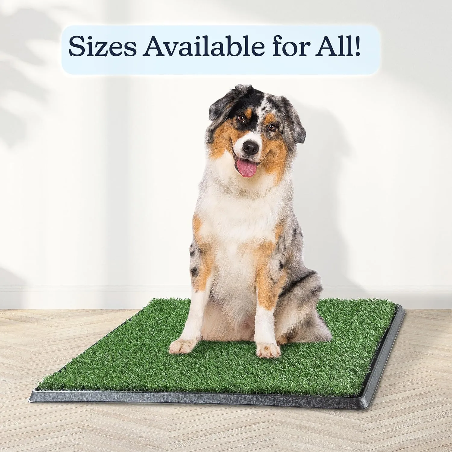 Artificial Grass Puppy Pee Pad for Dogs and Small Pets - 20x25 Reusable 3-Layer Potty Training Pad with Tray - Dog House and Pet Supplies by PETMAKER