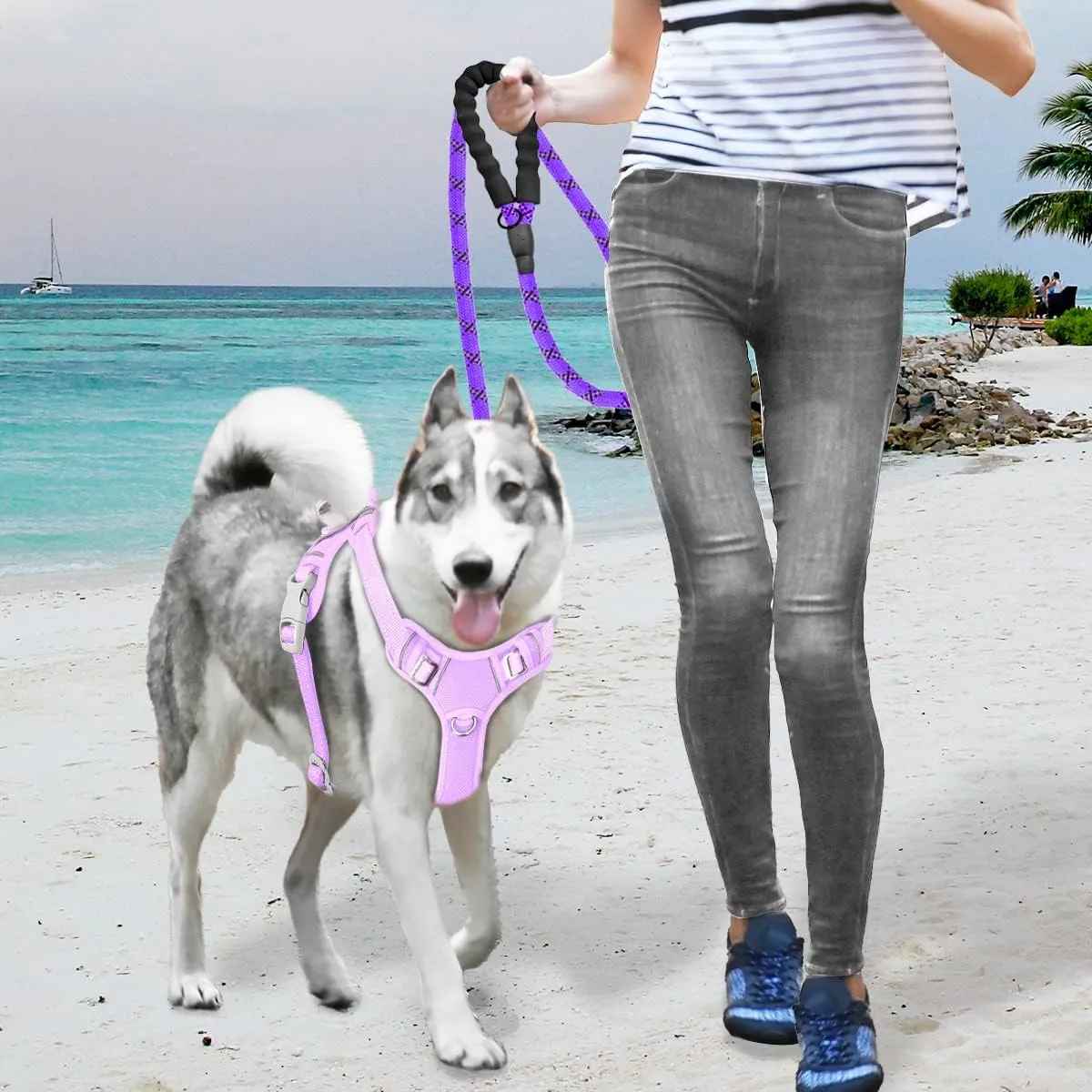 BARKBAY No Pull Dog Harness Large Reflective Dog Harness with Front Clip and Easy Control Handle for Walking Training Running with ID tag Pocket(Violet Purple,XL)