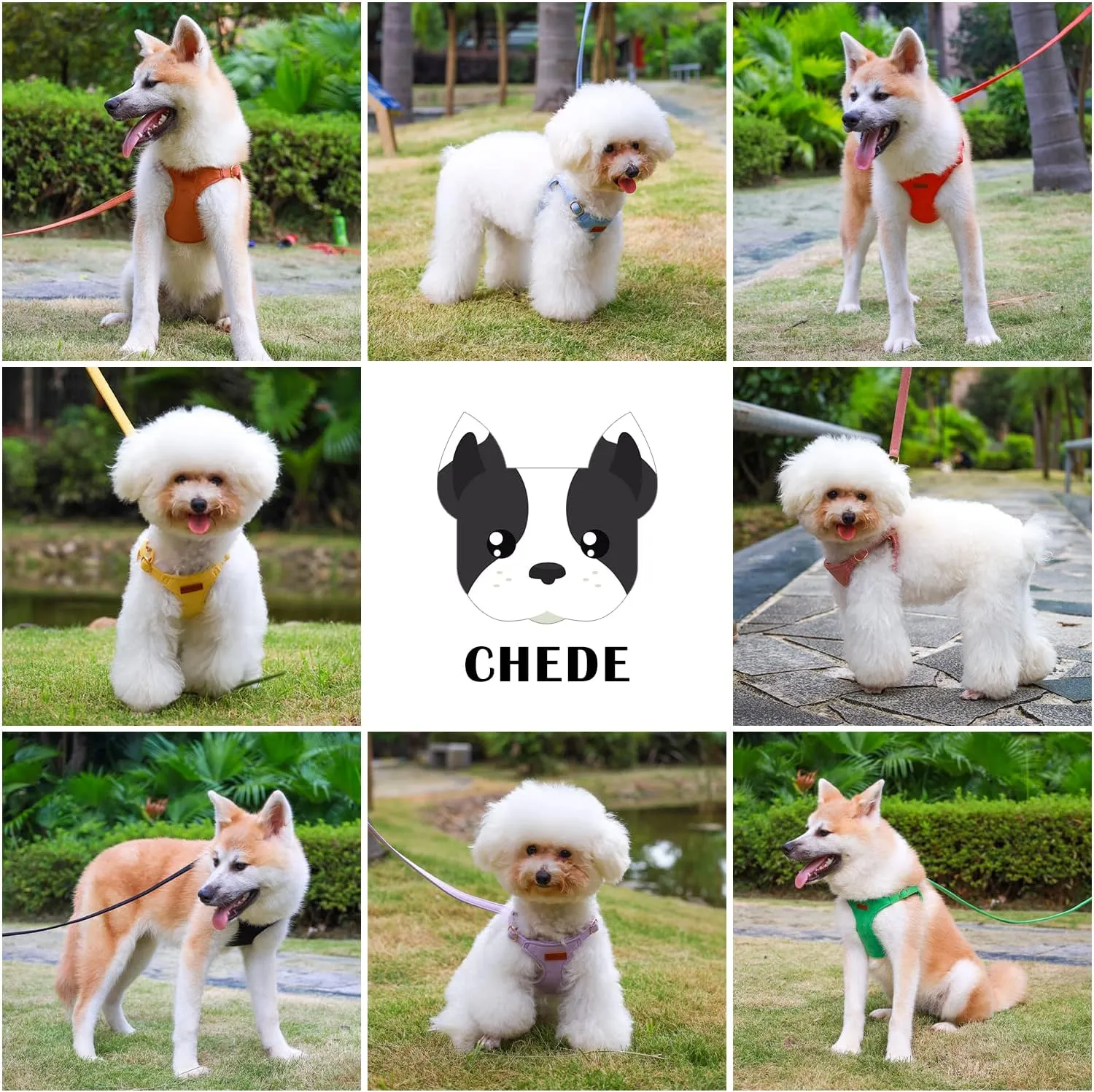 CHEDE No Pull Puppy Harness and Multifunction Dog Leash Set- 8 Colors Soft Adjustable No Choke Escape Proof Cute,Lightweight Pet Vest Harness for Small and Medium Dog (S, Black)