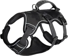 COODEO Multi-Use Support Dog Lift Harness with Handle - 5 Point Adjustable, Escape Proof, Anti Pull Dog Harness (Black, L)