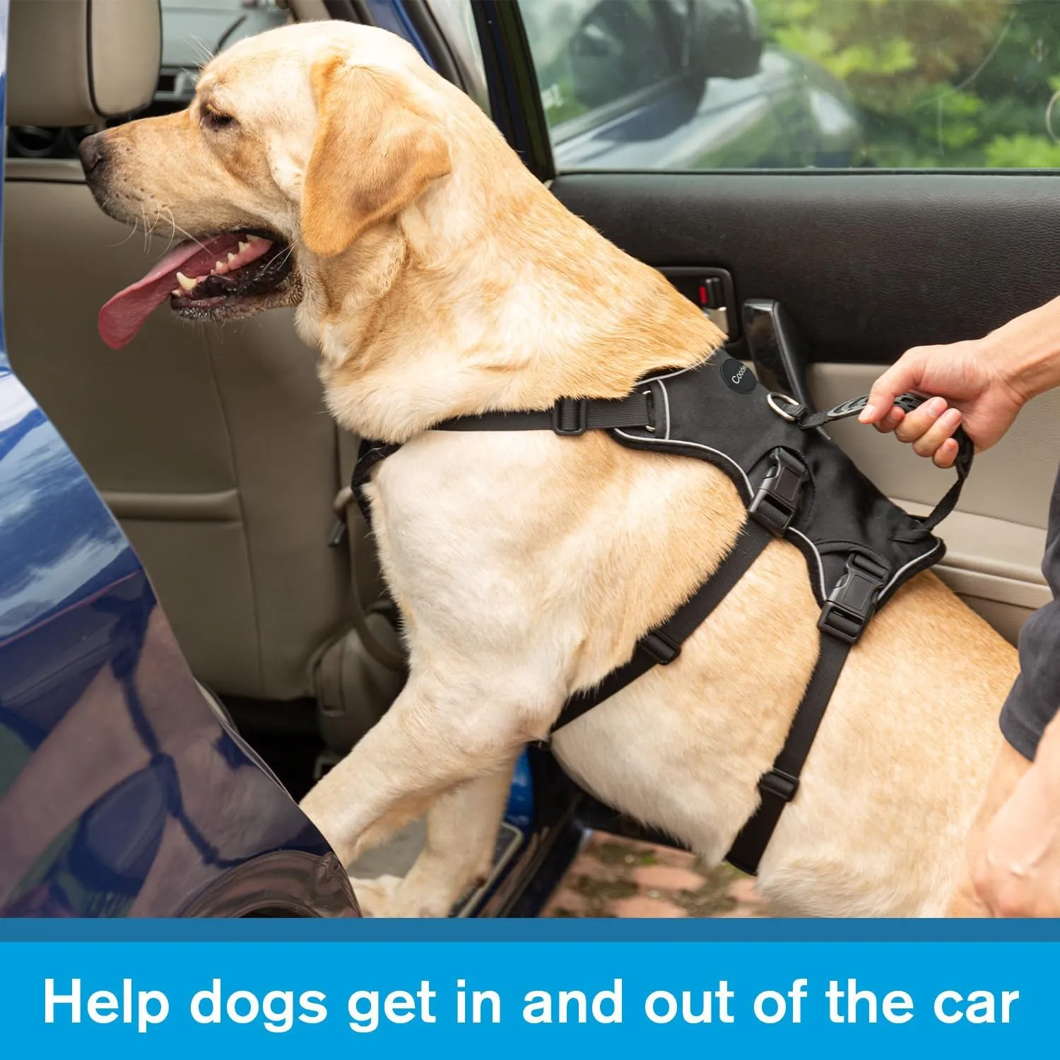COODEO Multi-Use Support Dog Lift Harness with Handle - 5 Point Adjustable, Escape Proof, Anti Pull Dog Harness (Black, L)