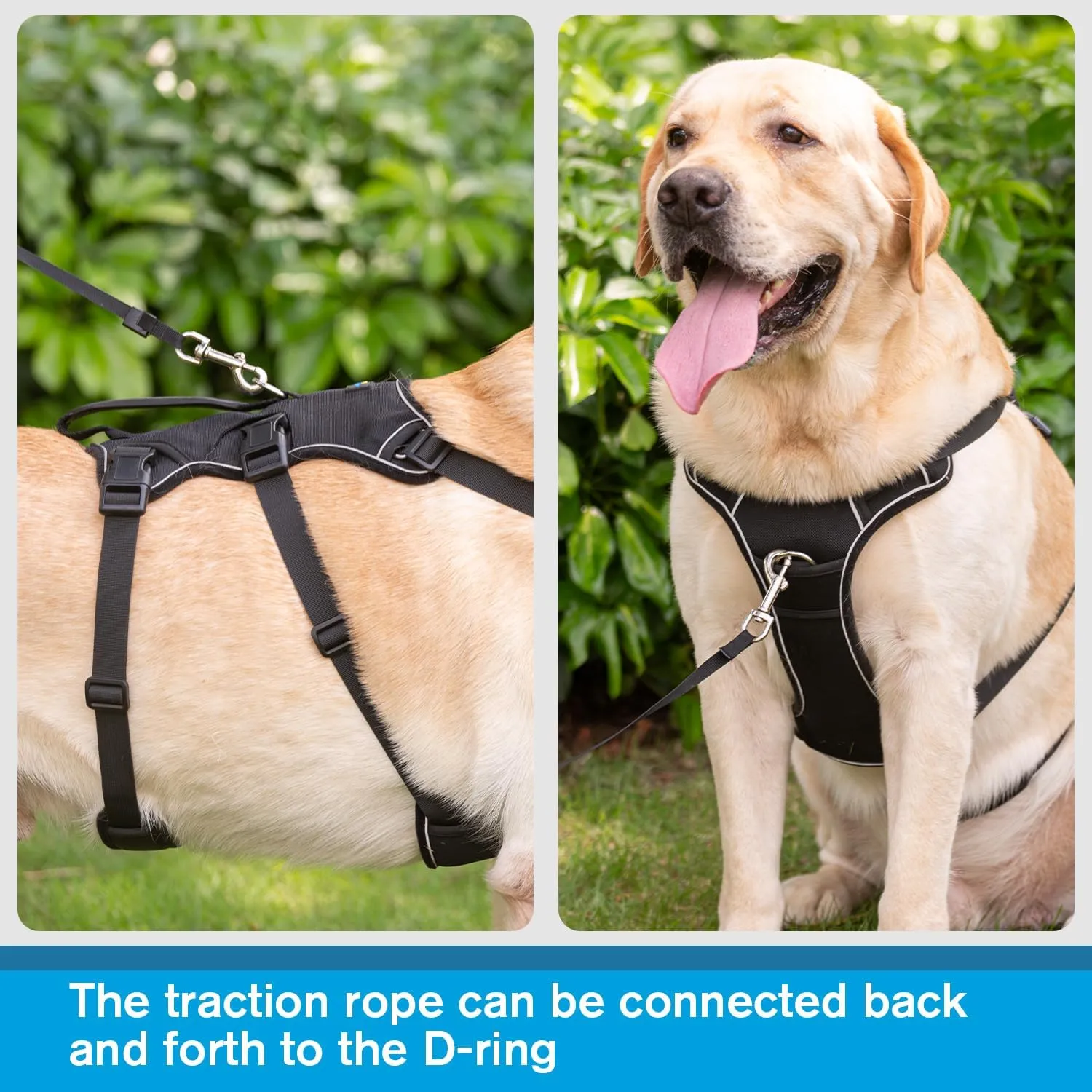 COODEO Multi-Use Support Dog Lift Harness with Handle - 5 Point Adjustable, Escape Proof, Anti Pull Dog Harness (Black, L)