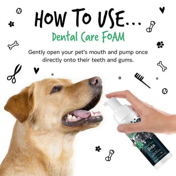 DENTAL CARE FOAM