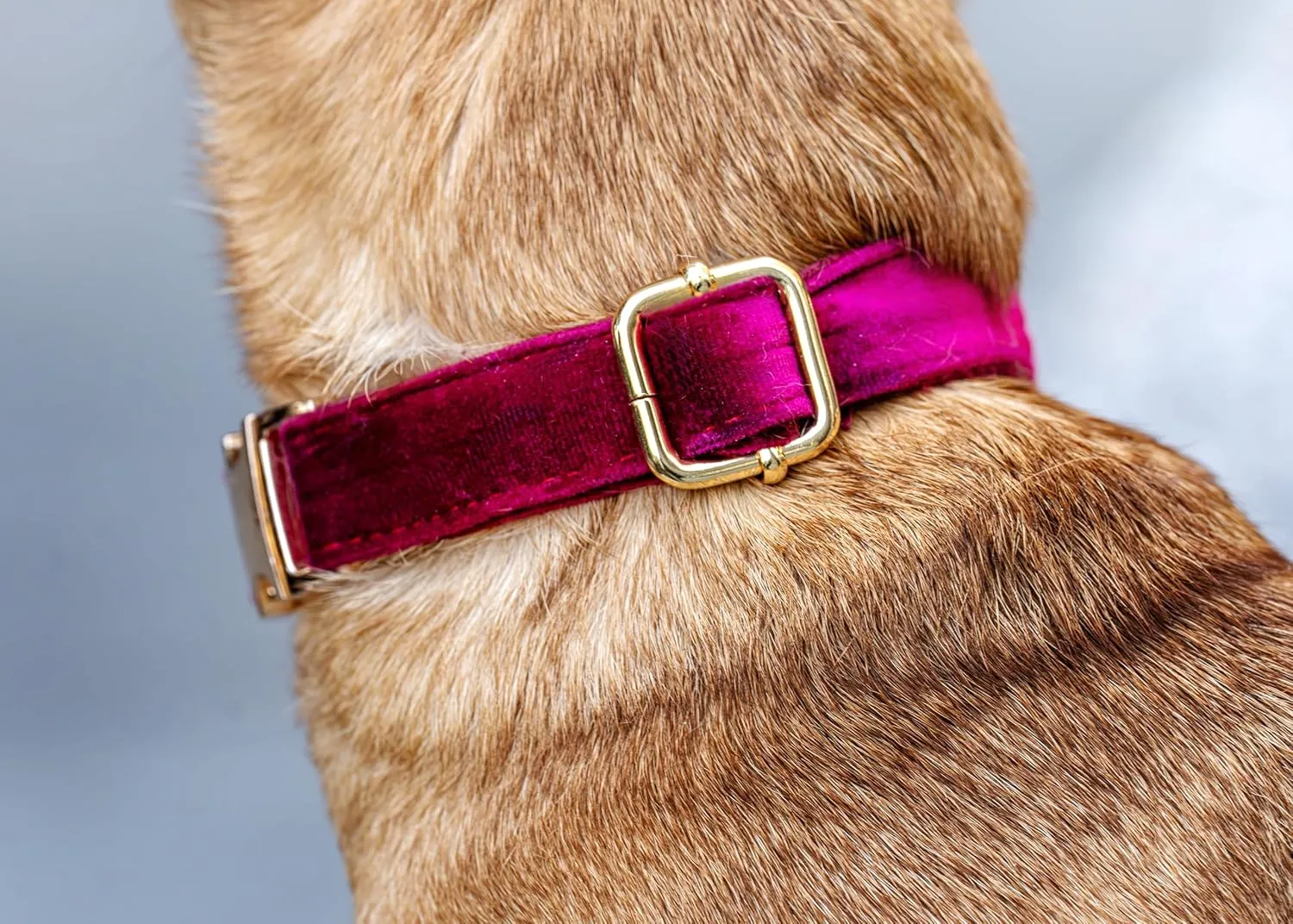 Dog Training Collar,Non-Shock Luxury Bark Collar-Adjustable Fit, No Shock for Small,Medium,Large Dogs, Advanced Technology with Remote, Automatic Bark Collar, Rechargeable, Anti-Barking,Red