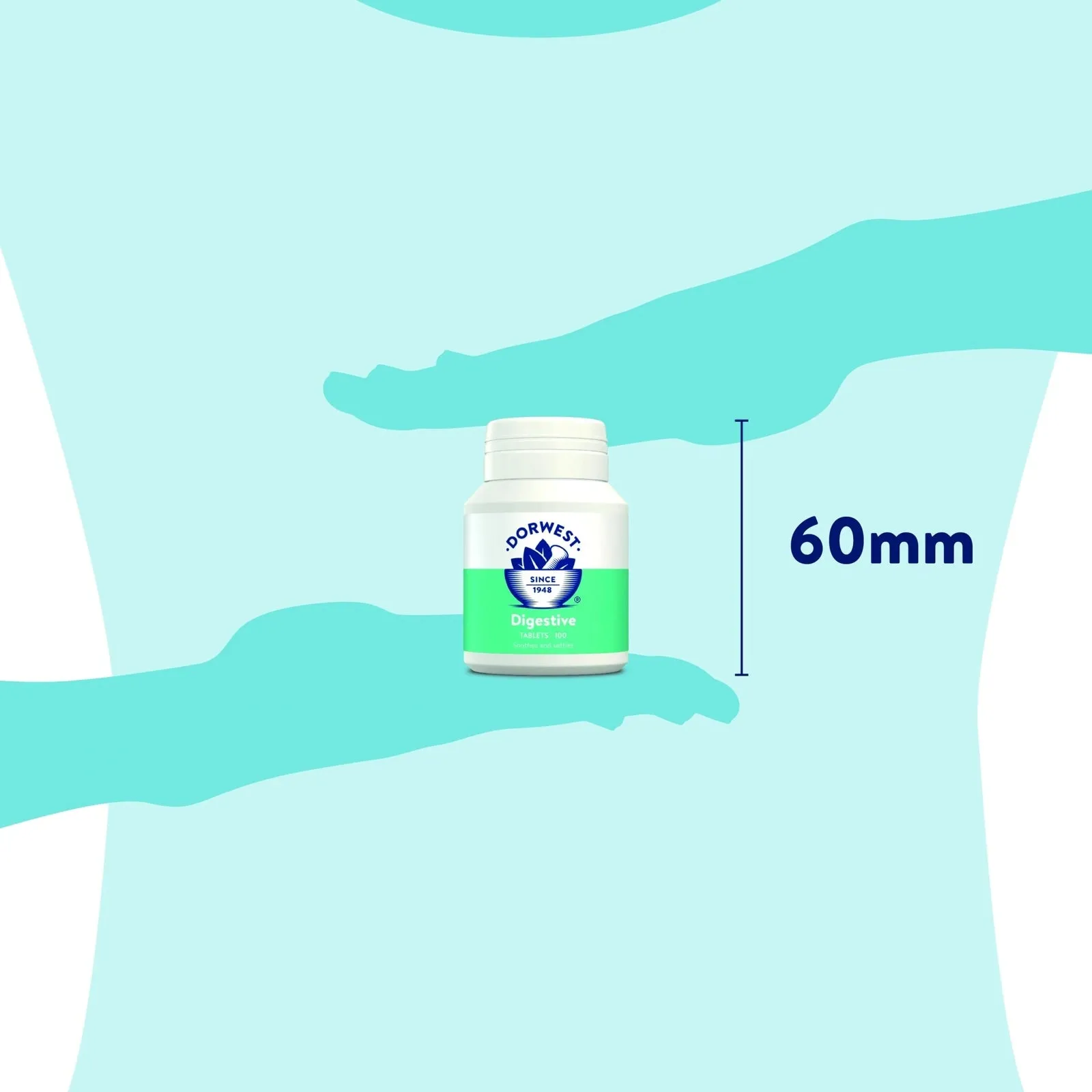 DORWEST Digestive Tablets For Dogs And Cats - 100 Tablets
