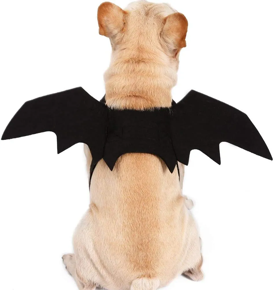 Ehdching Cat Costume Halloween Pet Bat Wings Cat Dog Bat Costume
