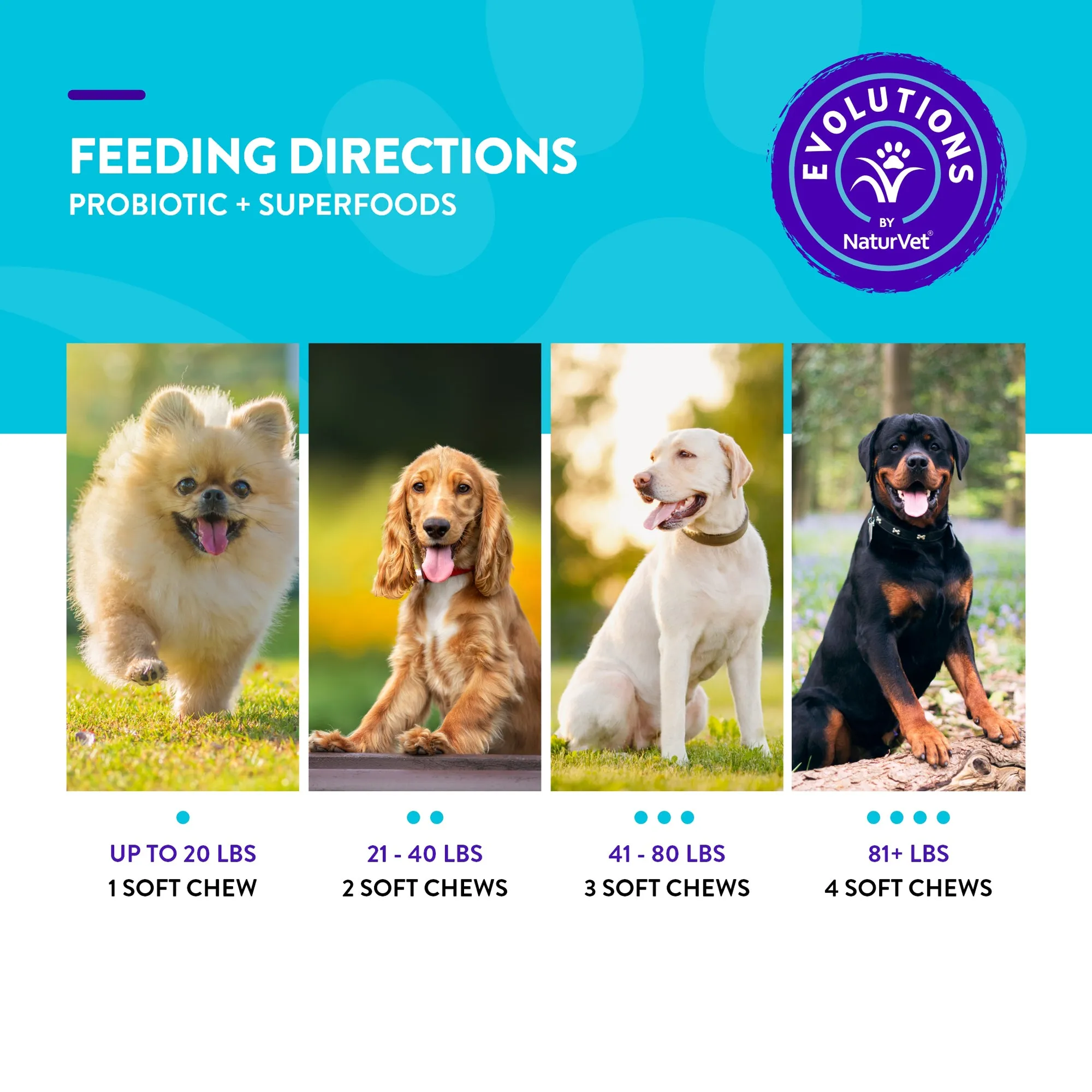 Evolutions - Probiotic   Superfoods Soft Chews