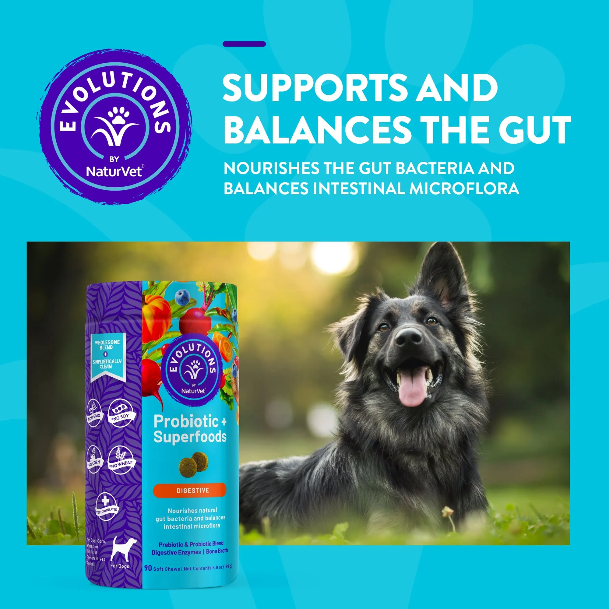 Evolutions - Probiotic   Superfoods Soft Chews