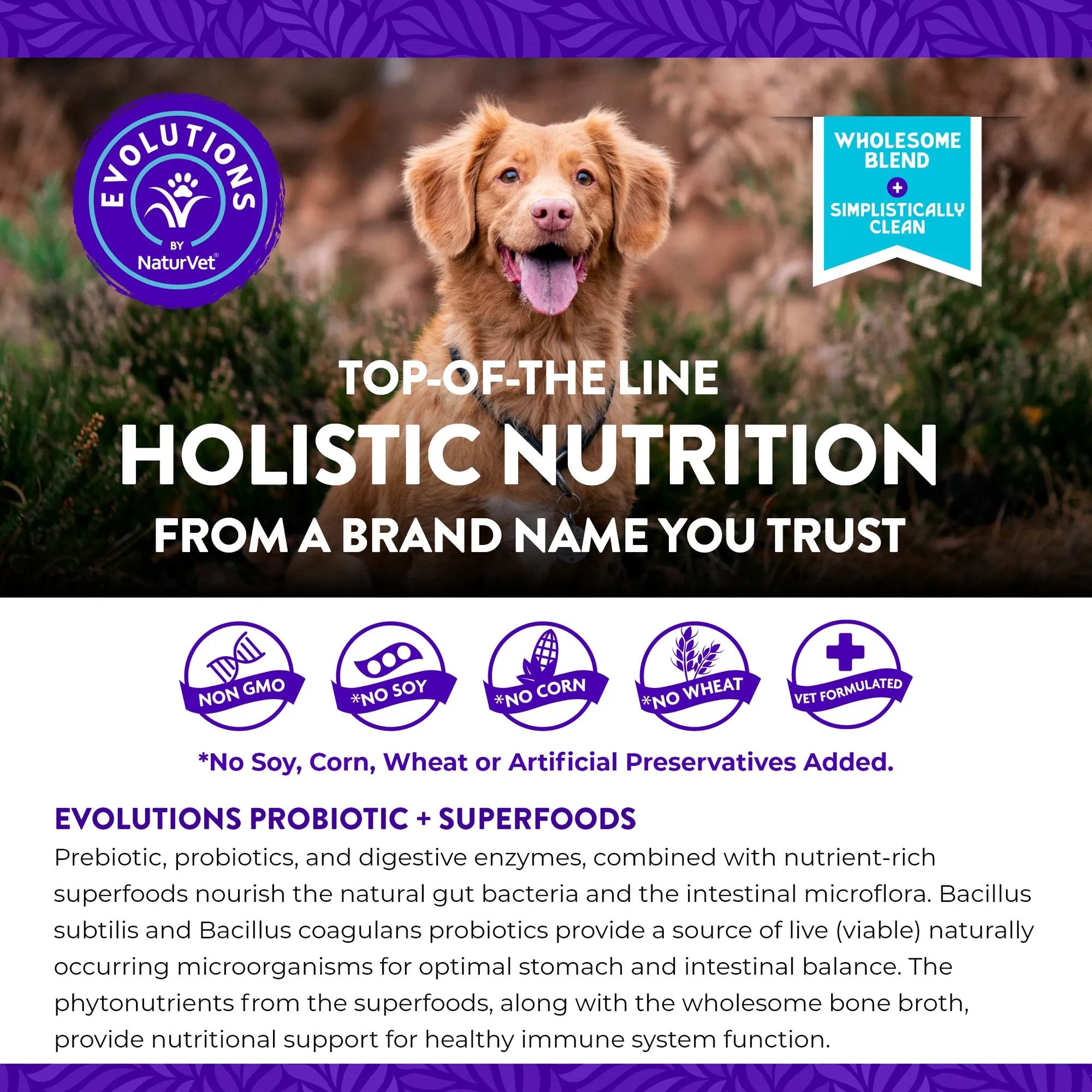 Evolutions - Probiotic   Superfoods Soft Chews