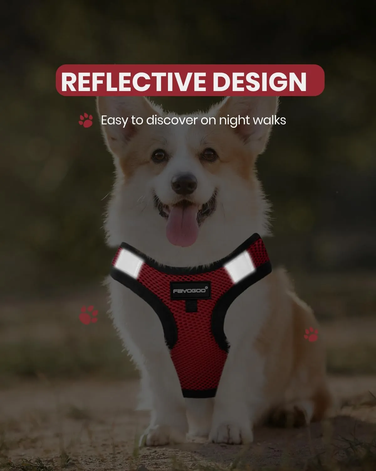FAYOGOO Service Dog Vest for Small Breed - Lightweight Dog Harness with 6PCS Removable Patches - Puppy Harness and Leash Set for Walking,Training