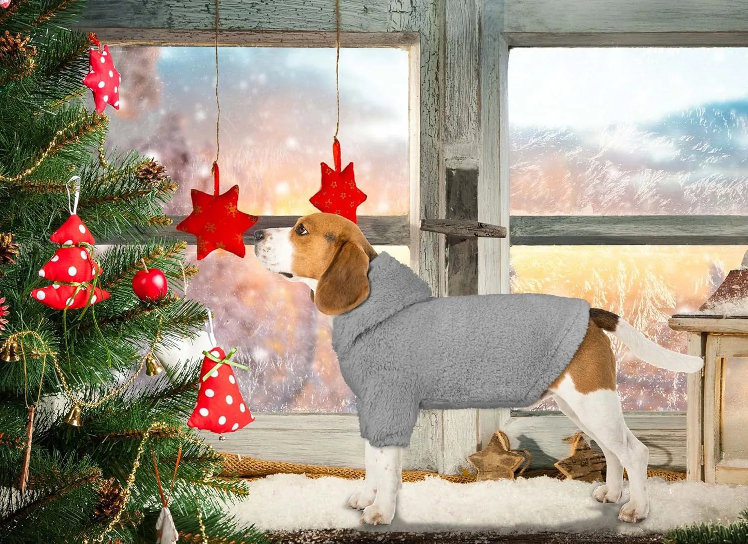 Fuzzy Dog Hoodie Dog Sweater Clothes Warm Soft Cozy Coats Hooded Sweatshirt Fleece Small Pet Hoodies Pet Sweaters for Small Dogs(Grey-S)