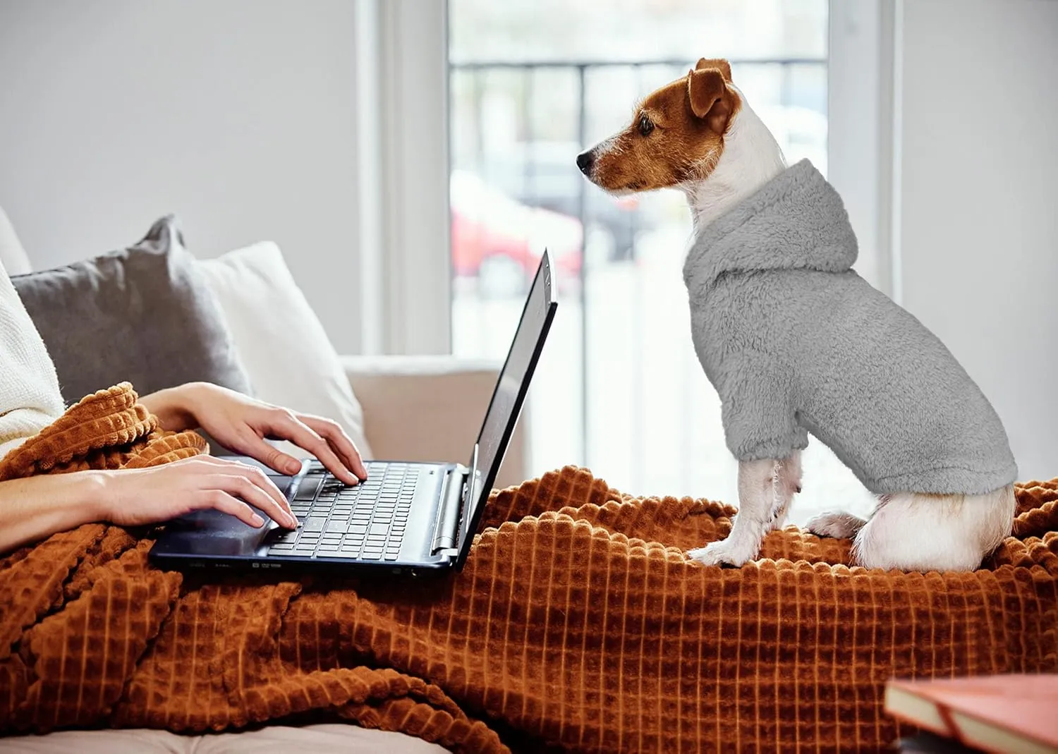 Fuzzy Dog Hoodie Dog Sweater Clothes Warm Soft Cozy Coats Hooded Sweatshirt Fleece Small Pet Hoodies Pet Sweaters for Small Dogs(Grey-S)