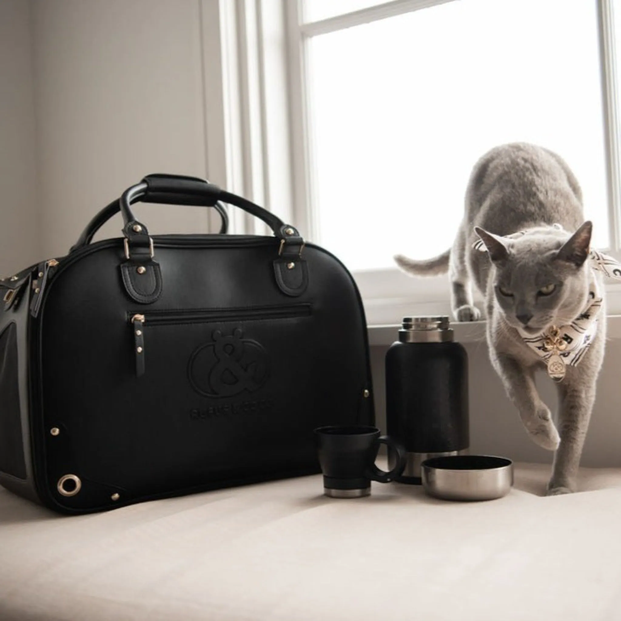 Glebe Leather Pet Carrier