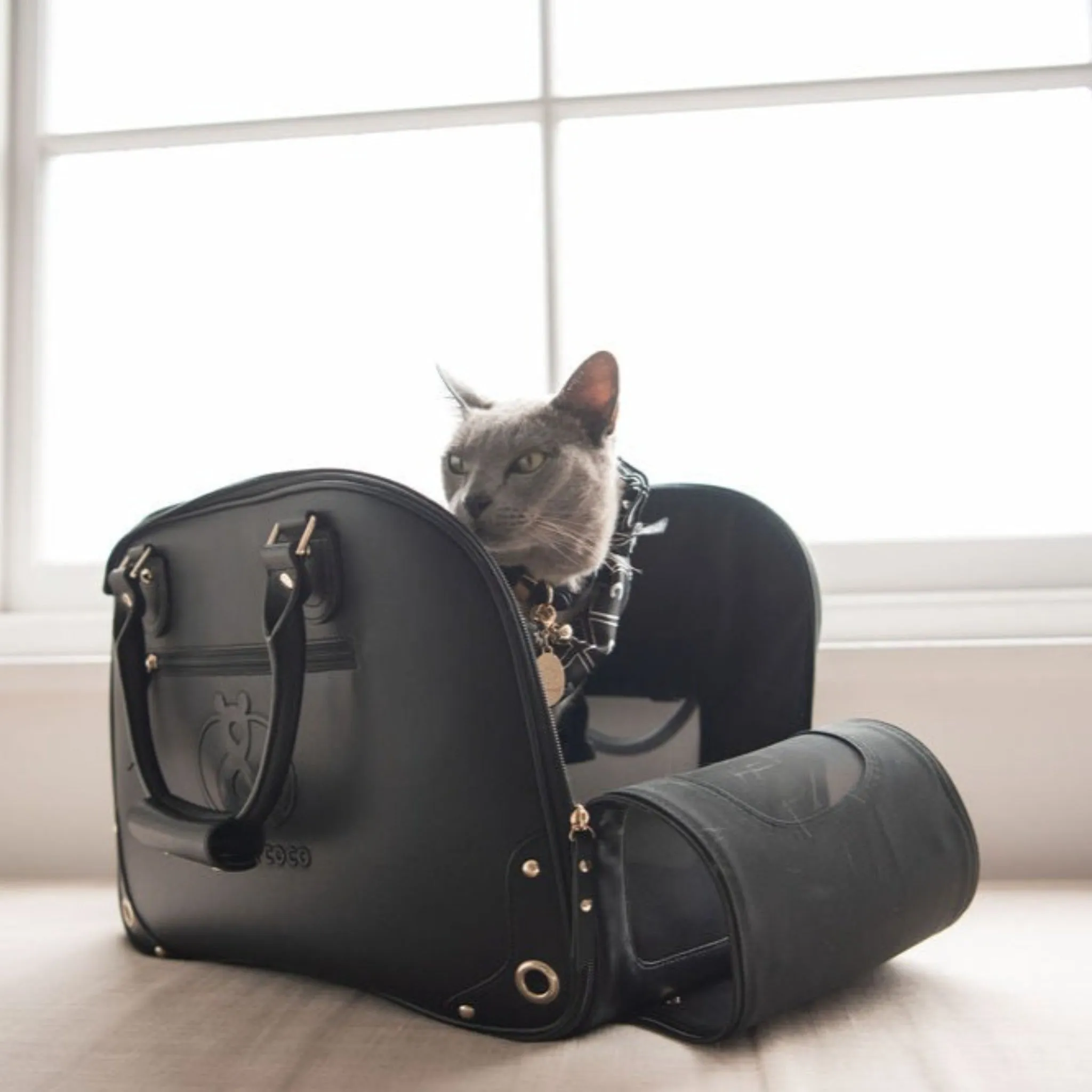 Glebe Leather Pet Carrier
