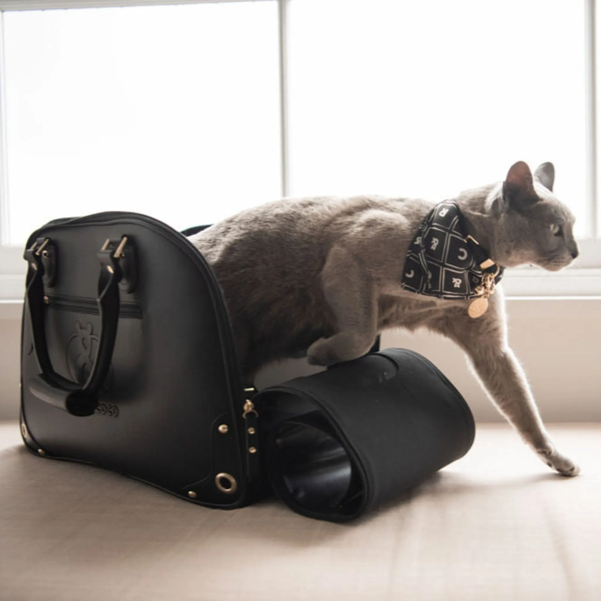 Glebe Leather Pet Carrier