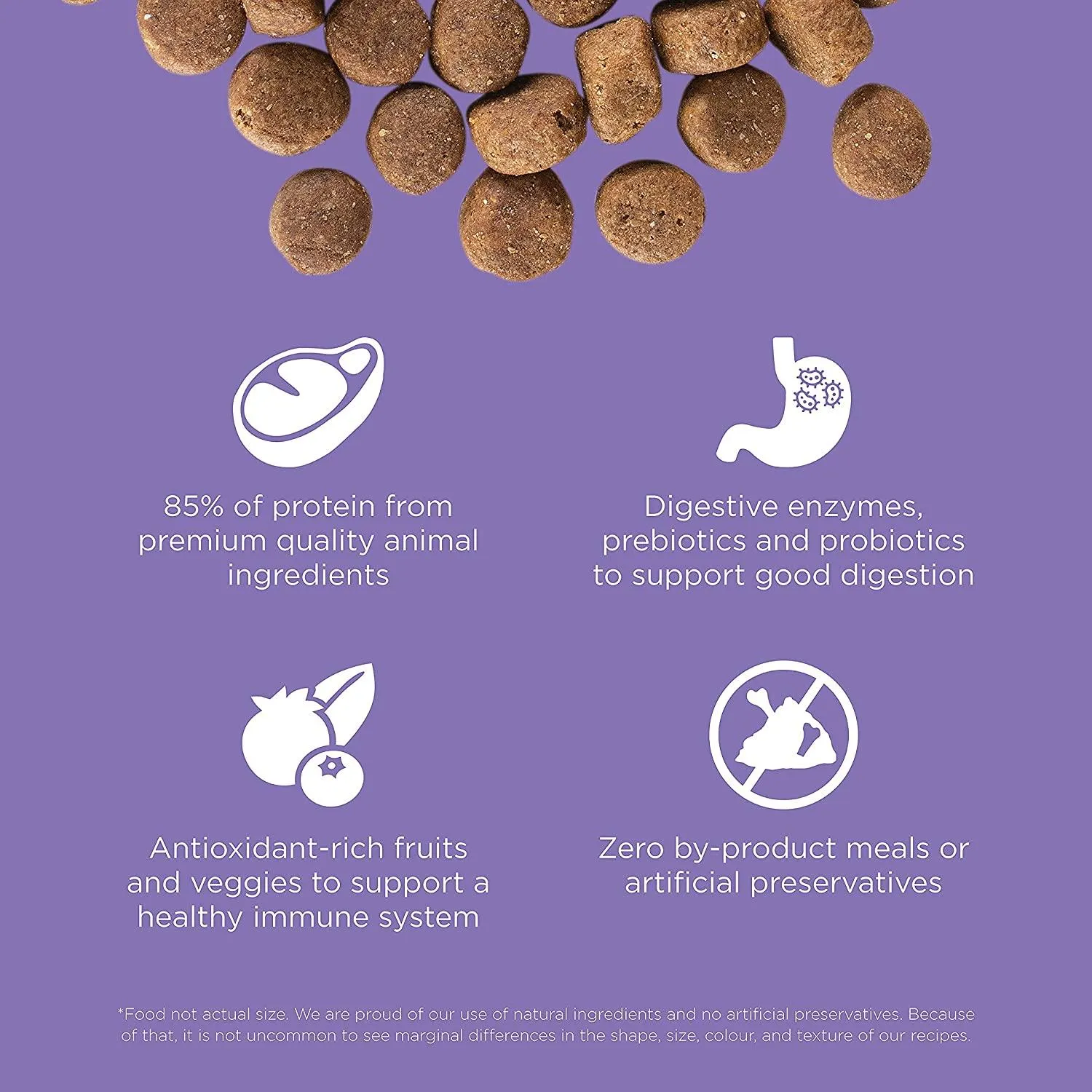 Go! Carnivore Grain-Free Chicken, Turkey   Duck Adult Senior Recipe for dogs