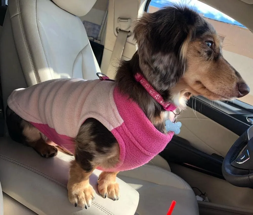 Gooby Half Stretch Fleece Vest Sweater - Peach, Medium - Warm Pullover Jacket With D-Ring Leash - Winter Small Dog Coat - Cold Weather Clothes for Small Dogs Boy or Girl