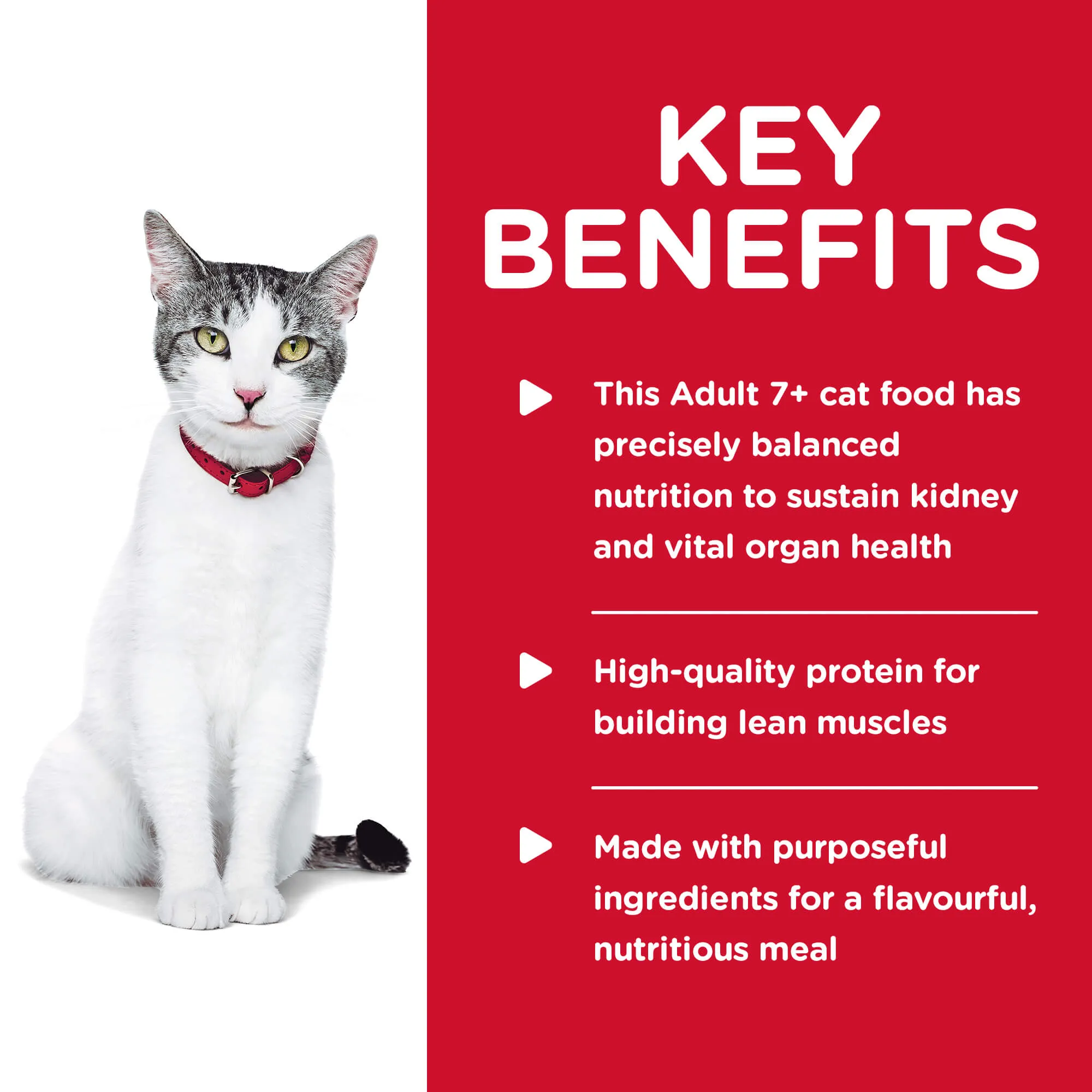 Hill's Science Diet 11  Senior Dry Cat Food
