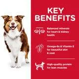 Hill's Science Diet Senior Chicken Dry Dog Food