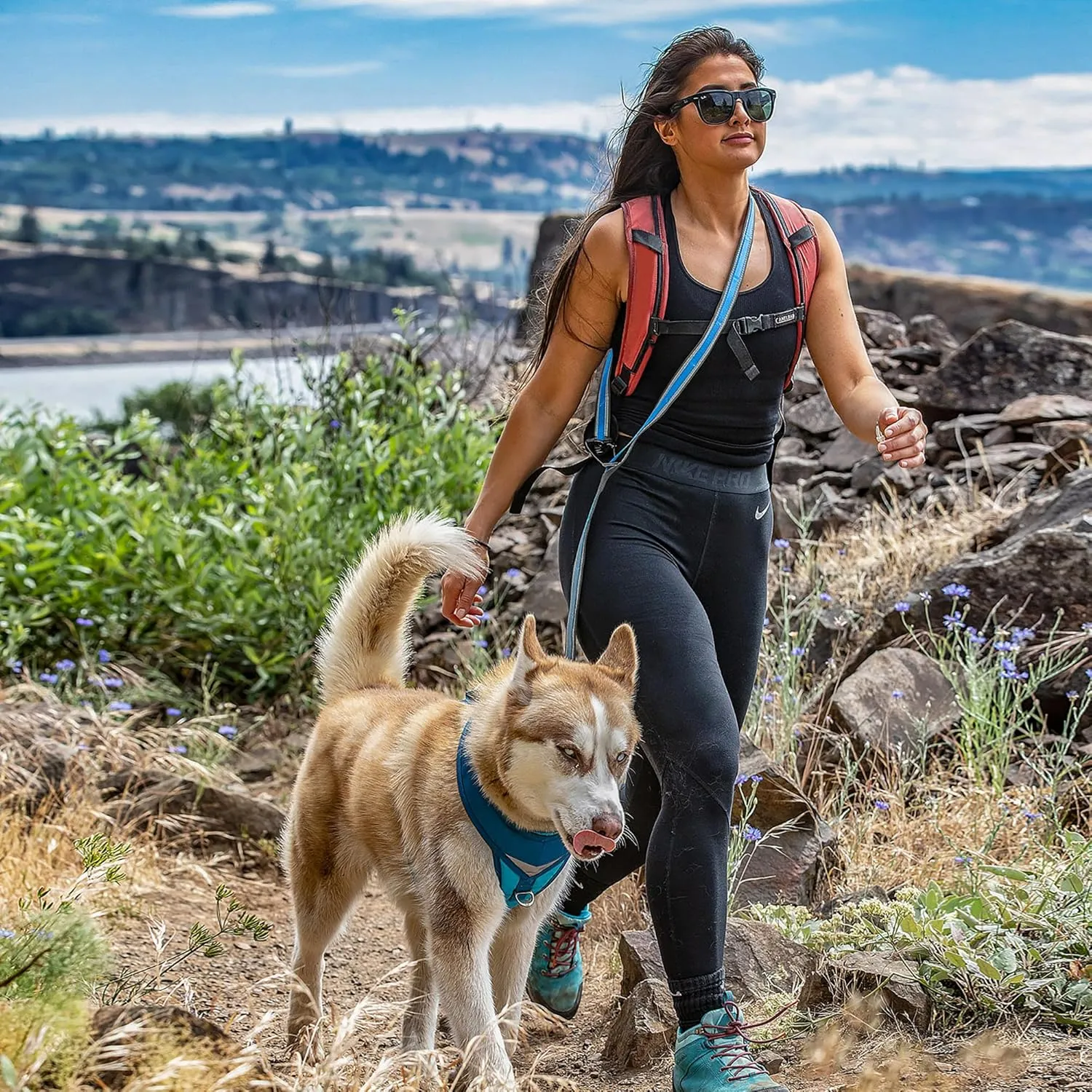 Kurgo 6 in 1 Quantum Leash, Hands Free Leash for Dogs, Running Belt Lead, Crossbody & Waist Belt Style, Reflective, Carabiner Clip, for Training, Hiking, or Jogging, 4 Colors