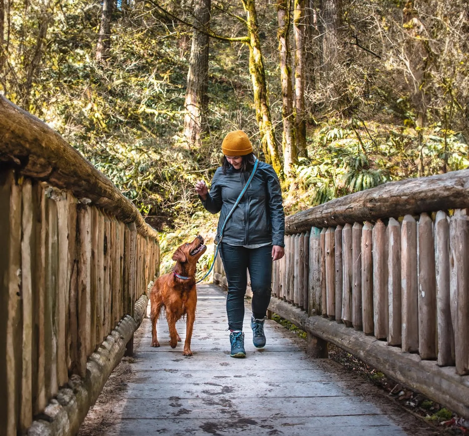 Kurgo 6 in 1 Quantum Leash, Hands Free Leash for Dogs, Running Belt Lead, Crossbody & Waist Belt Style, Reflective, Carabiner Clip, for Training, Hiking, or Jogging, 4 Colors