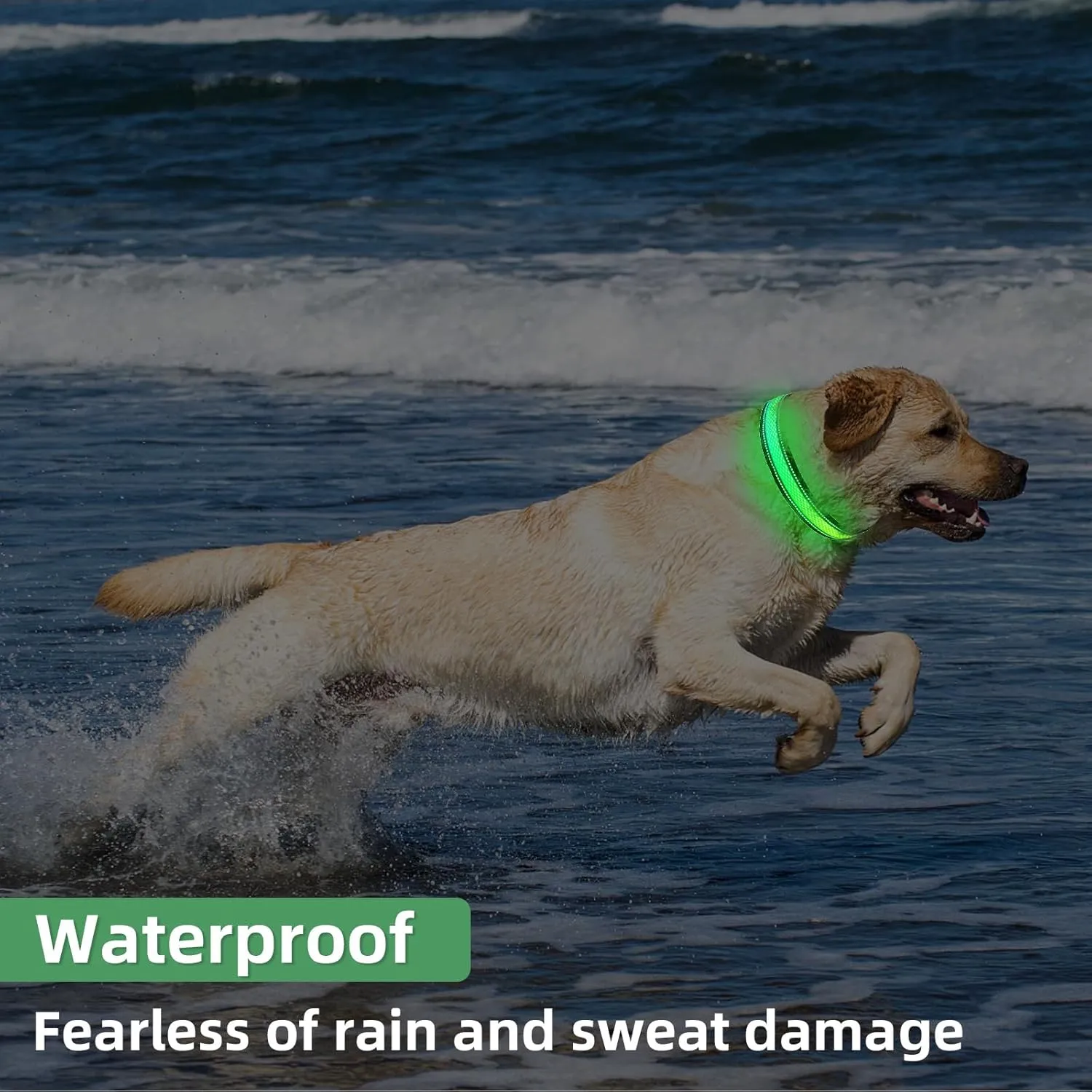 LED Light Up Dog Collar: Rechargeable Waterproof Safety Collars for Dogs During Night Walking - Glow in The Dark Lights for Pet Flashing Gear - Best Glowing Neon Lighted USB Accessories at Nite Time