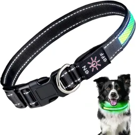 LED Light Up Dog Collar: Rechargeable Waterproof Safety Collars for Dogs During Night Walking - Glow in The Dark Lights for Pet Flashing Gear - Best Glowing Neon Lighted USB Accessories at Nite Time