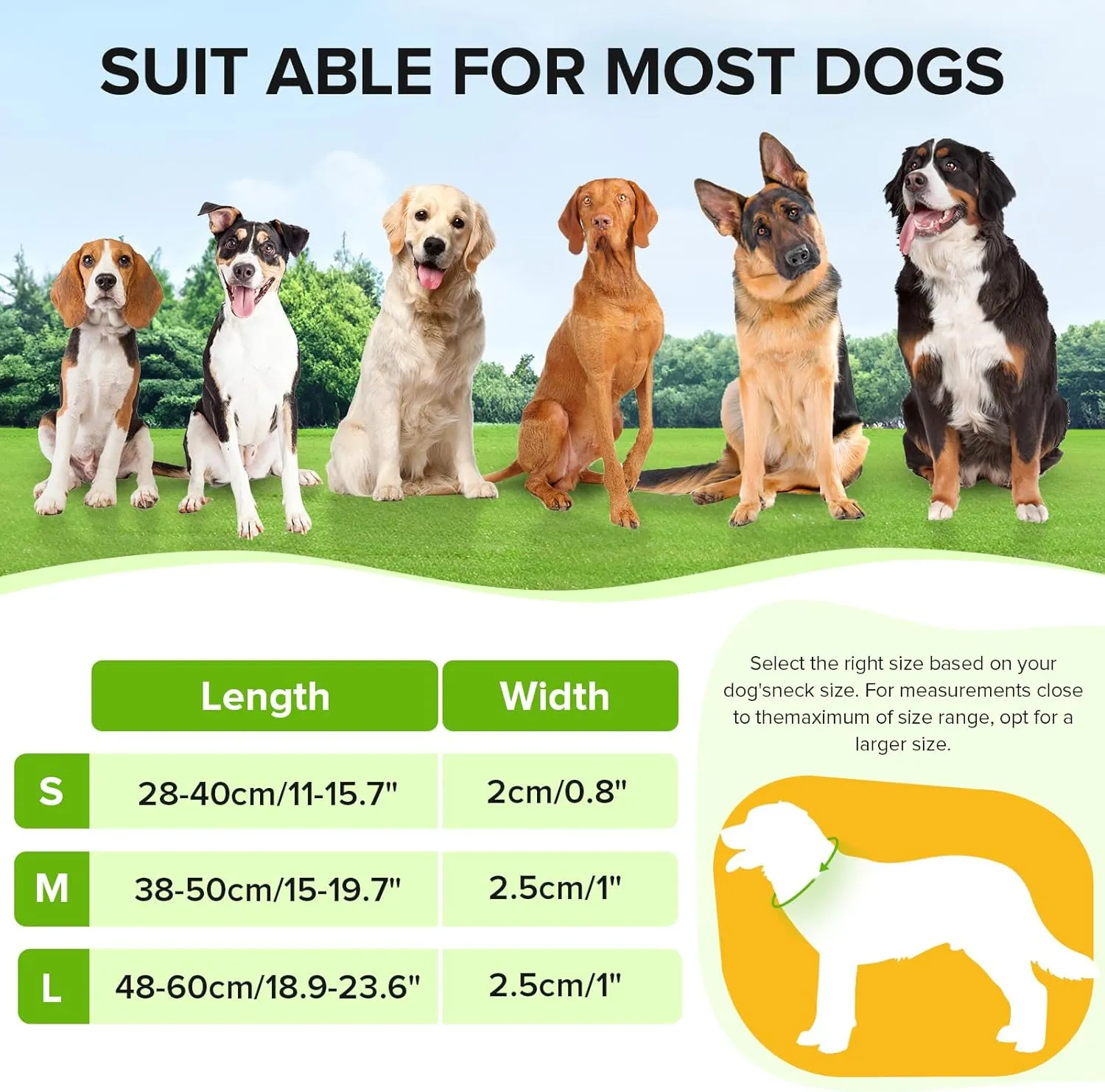 Light Up Dog Collar, Adjustable USB Rechargeable Glow in Dark Dog Collar Waterproof for Small Medium Large Dogs (Green, Small)