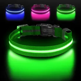 Light Up Dog Collar, Adjustable USB Rechargeable Glow in Dark Dog Collar Waterproof for Small Medium Large Dogs (Green, Small)