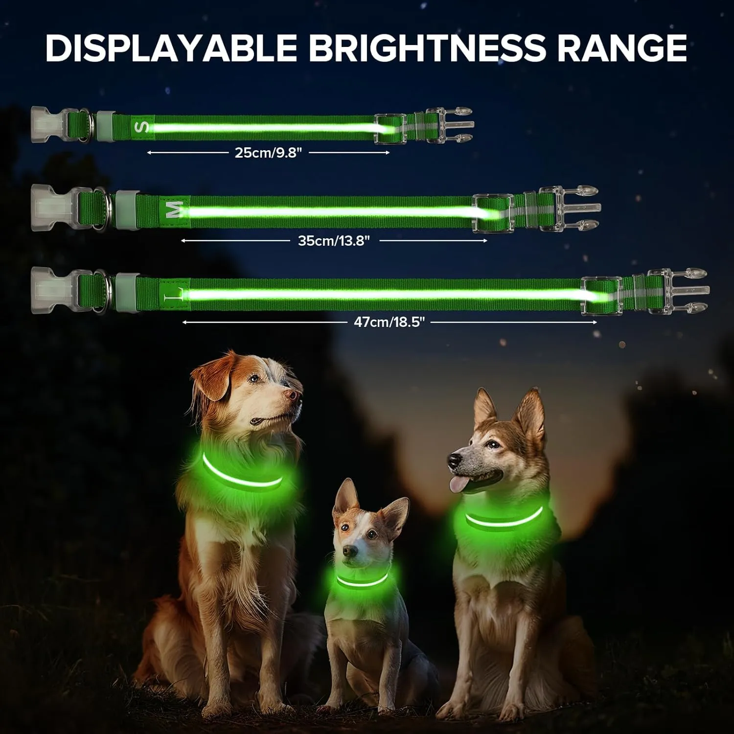Light Up Dog Collar, Adjustable USB Rechargeable Glow in Dark Dog Collar Waterproof for Small Medium Large Dogs (Green, Small)