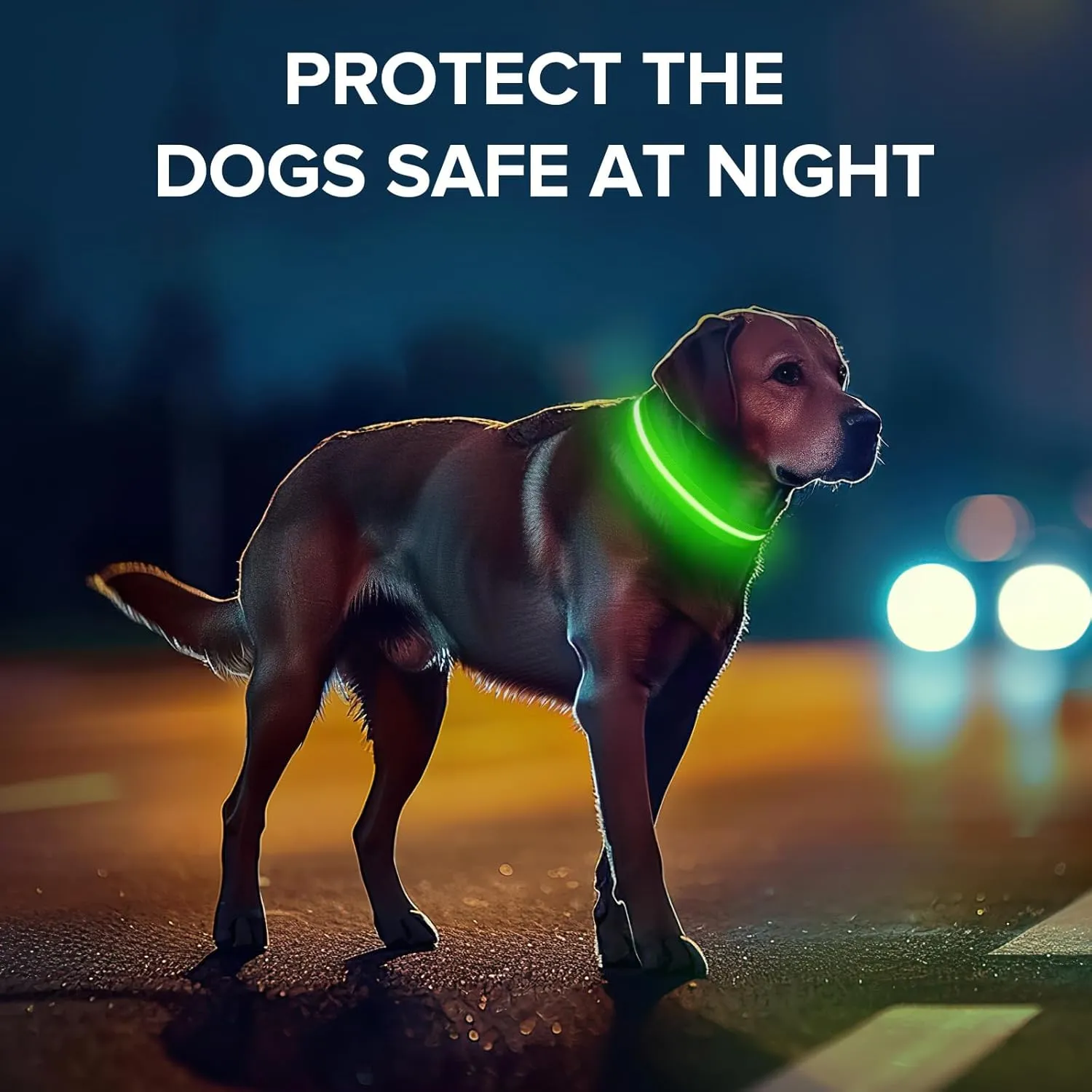 Light Up Dog Collar, Adjustable USB Rechargeable Glow in Dark Dog Collar Waterproof for Small Medium Large Dogs (Green, Small)