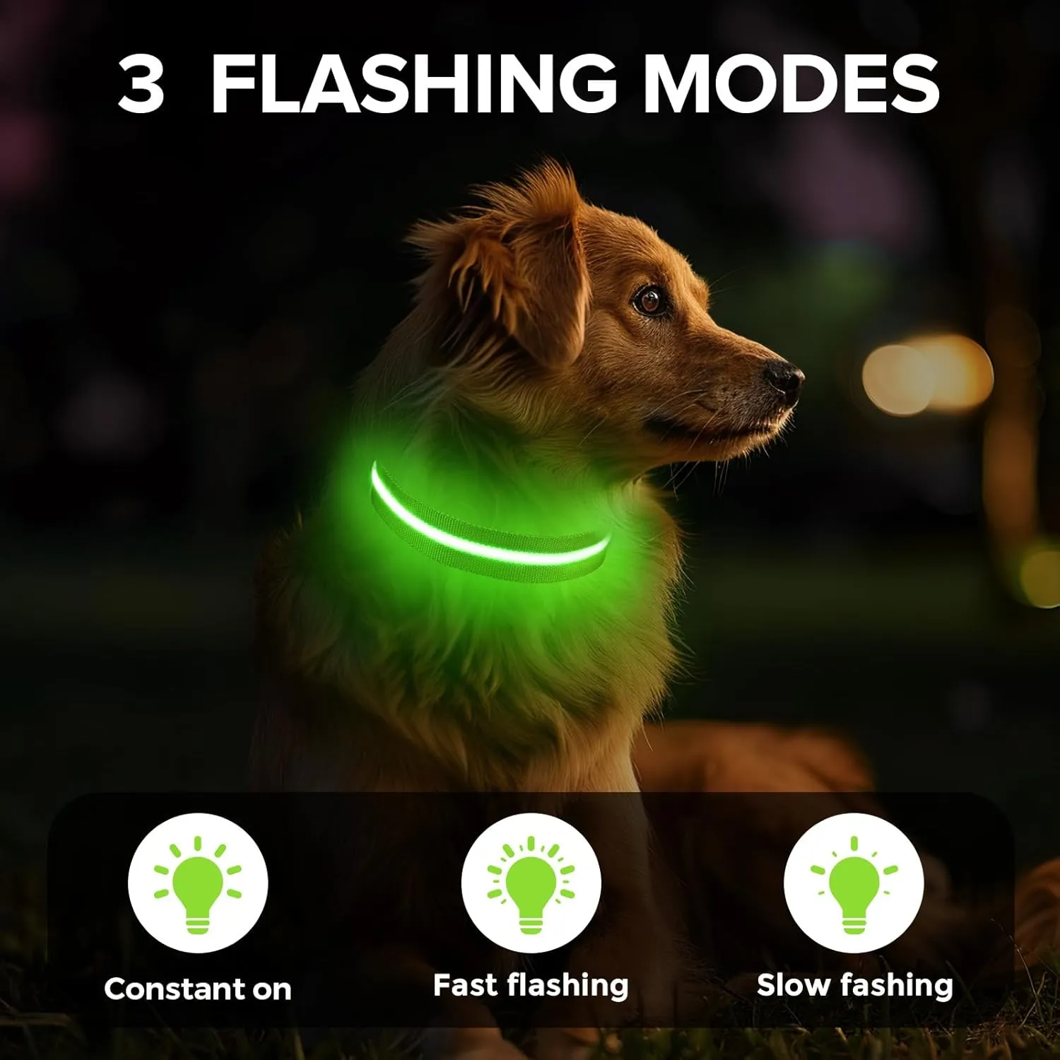Light Up Dog Collar, Adjustable USB Rechargeable Glow in Dark Dog Collar Waterproof for Small Medium Large Dogs (Green, Small)