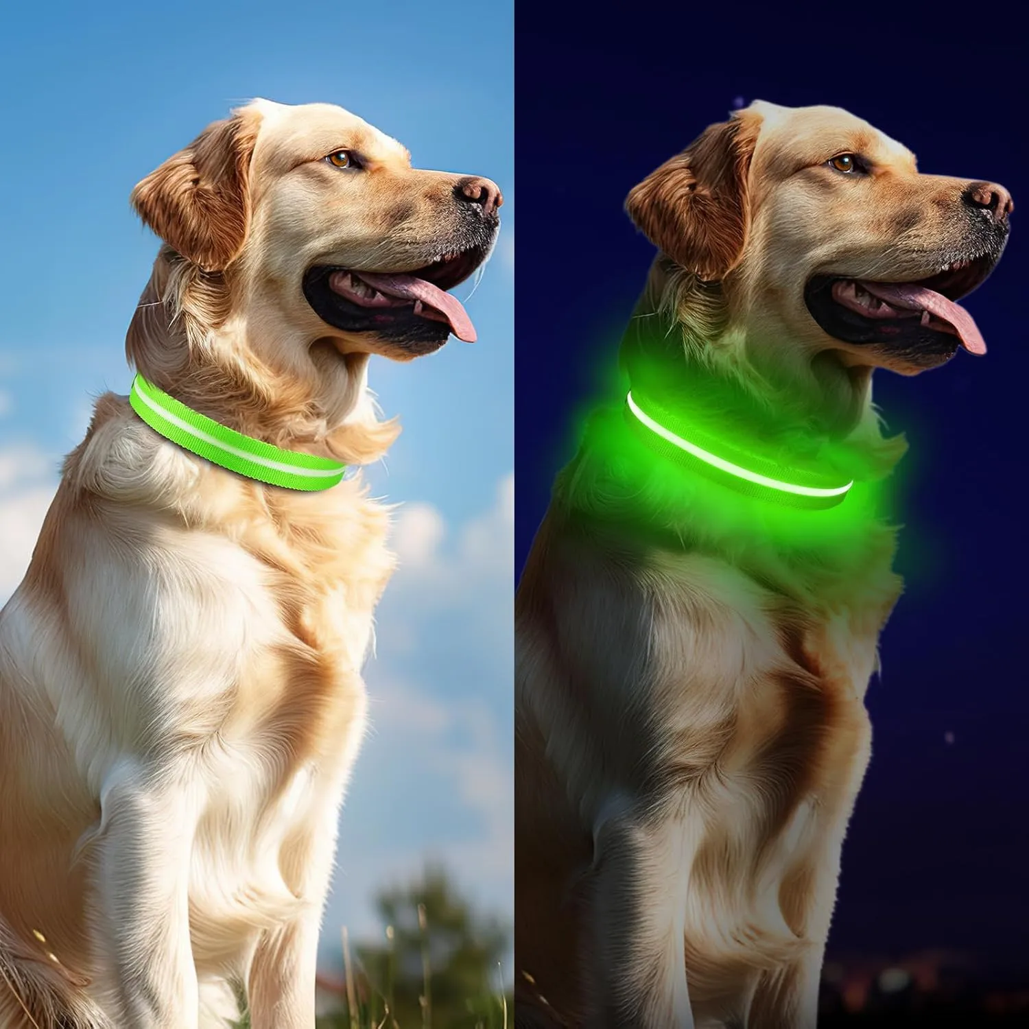 Light Up Dog Collar, Adjustable USB Rechargeable Glow in Dark Dog Collar Waterproof for Small Medium Large Dogs (Green, Small)