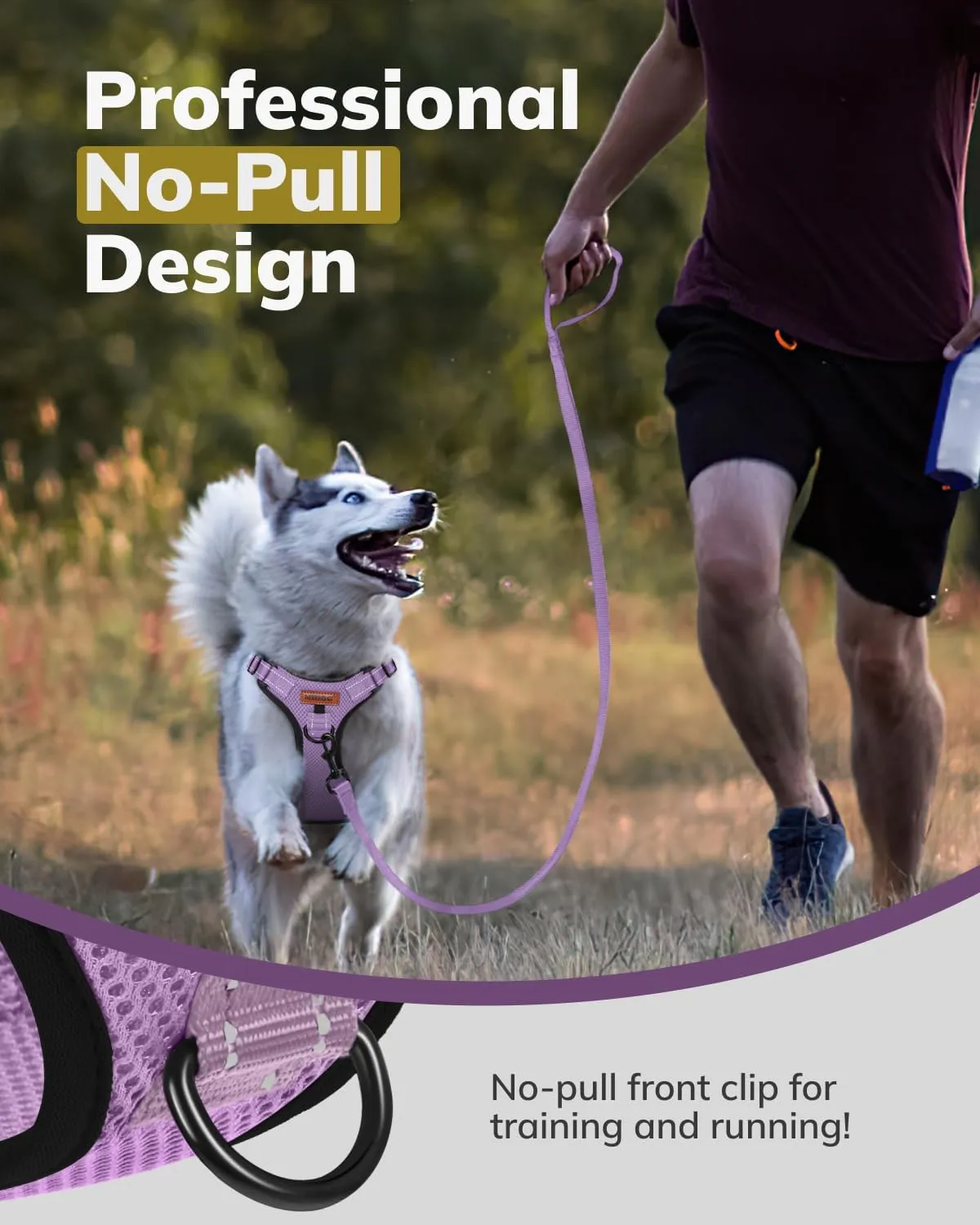 MIDOG No-Pull Dog Harness | Adjustable & Reflective Pet Harness Leash Set for Small Medium Large Dogs Walking, Training| No Choke, Front Clip, Soft Padded Vest with Easy Control Handle - Purple, M
