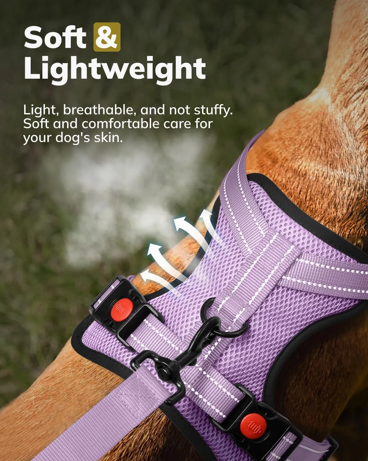 MIDOG No-Pull Dog Harness | Adjustable & Reflective Pet Harness Leash Set for Small Medium Large Dogs Walking, Training| No Choke, Front Clip, Soft Padded Vest with Easy Control Handle - Purple, M