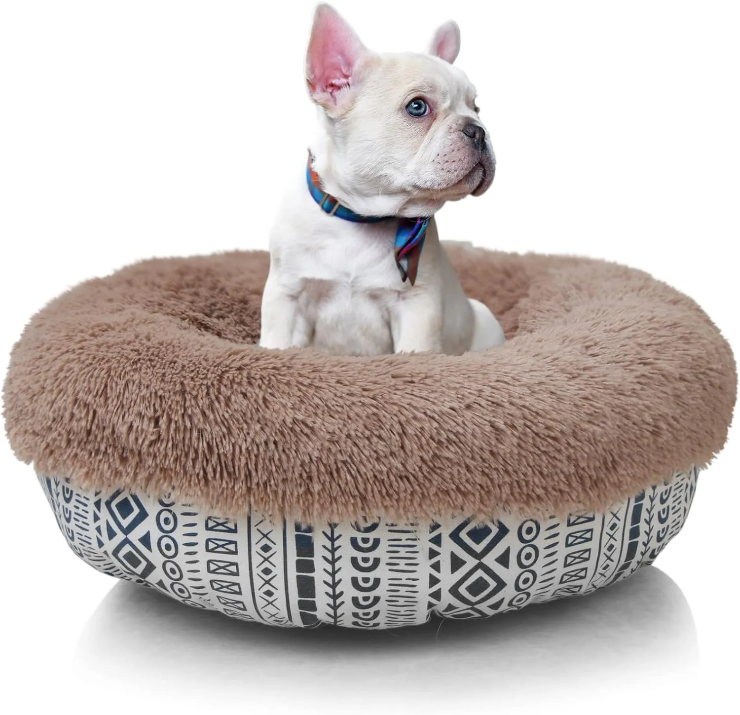 Modern Dog Beds for Small Dogs 19 inches Anxiety and Calming Theme Style Washable Fluffy and Plush Puppy Beds for Dogs Fits up to 15 lbs Pets Beds for Small Dog.