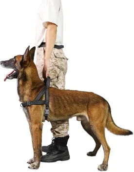 No Pull Dog Harness, Reflective Puppy Harness with Soft Padded Handle, Escape Proof/Quick Fit Adjustable Pet Harness for Small Medium Large Dogs, Easy for Training Walking (Black, M)