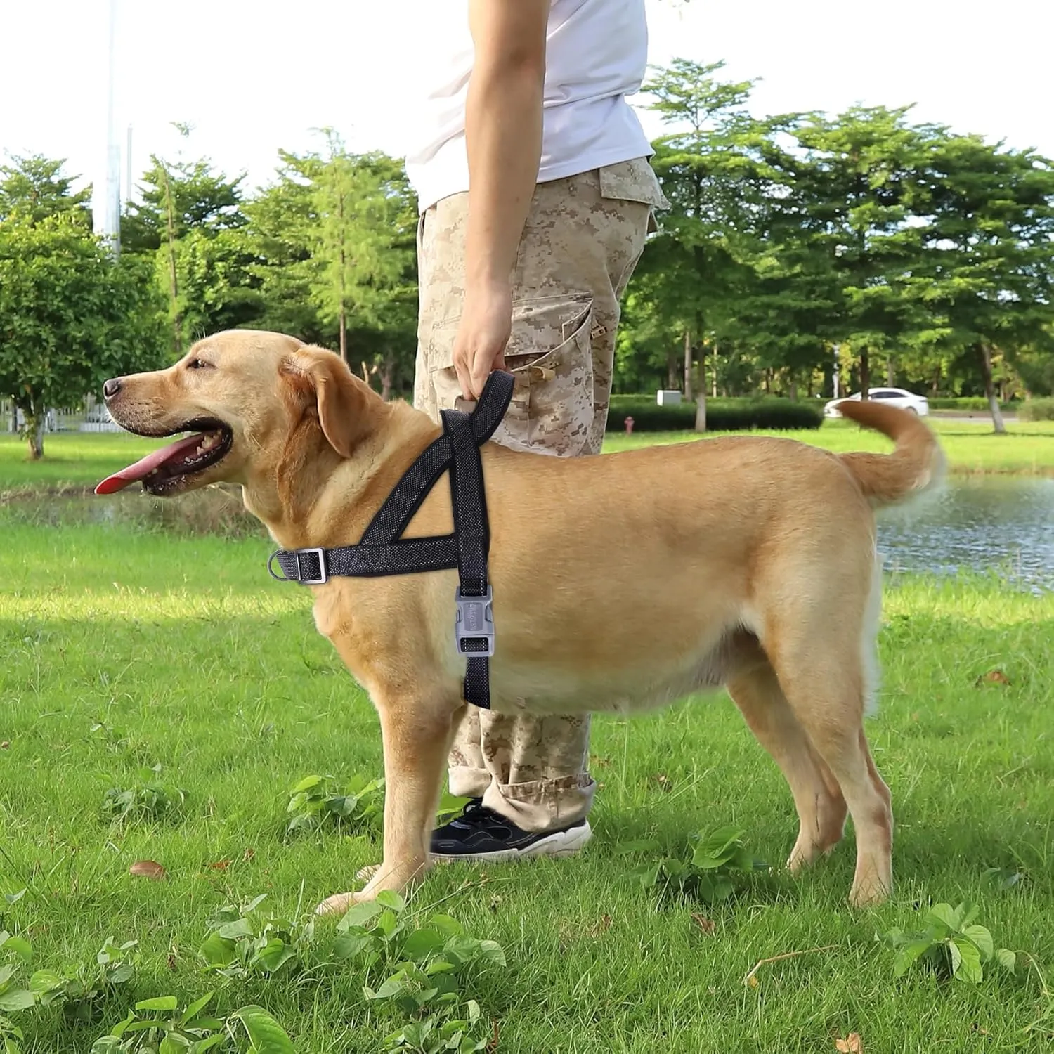 No Pull Dog Harness, Reflective Puppy Harness with Soft Padded Handle, Escape Proof/Quick Fit Adjustable Pet Harness for Small Medium Large Dogs, Easy for Training Walking (Black, M)
