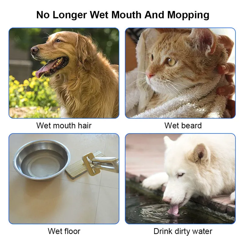 No-Spill Pet Water Bowl – Slow Feeder, Travel-Friendly, and Anti-Overflow Design