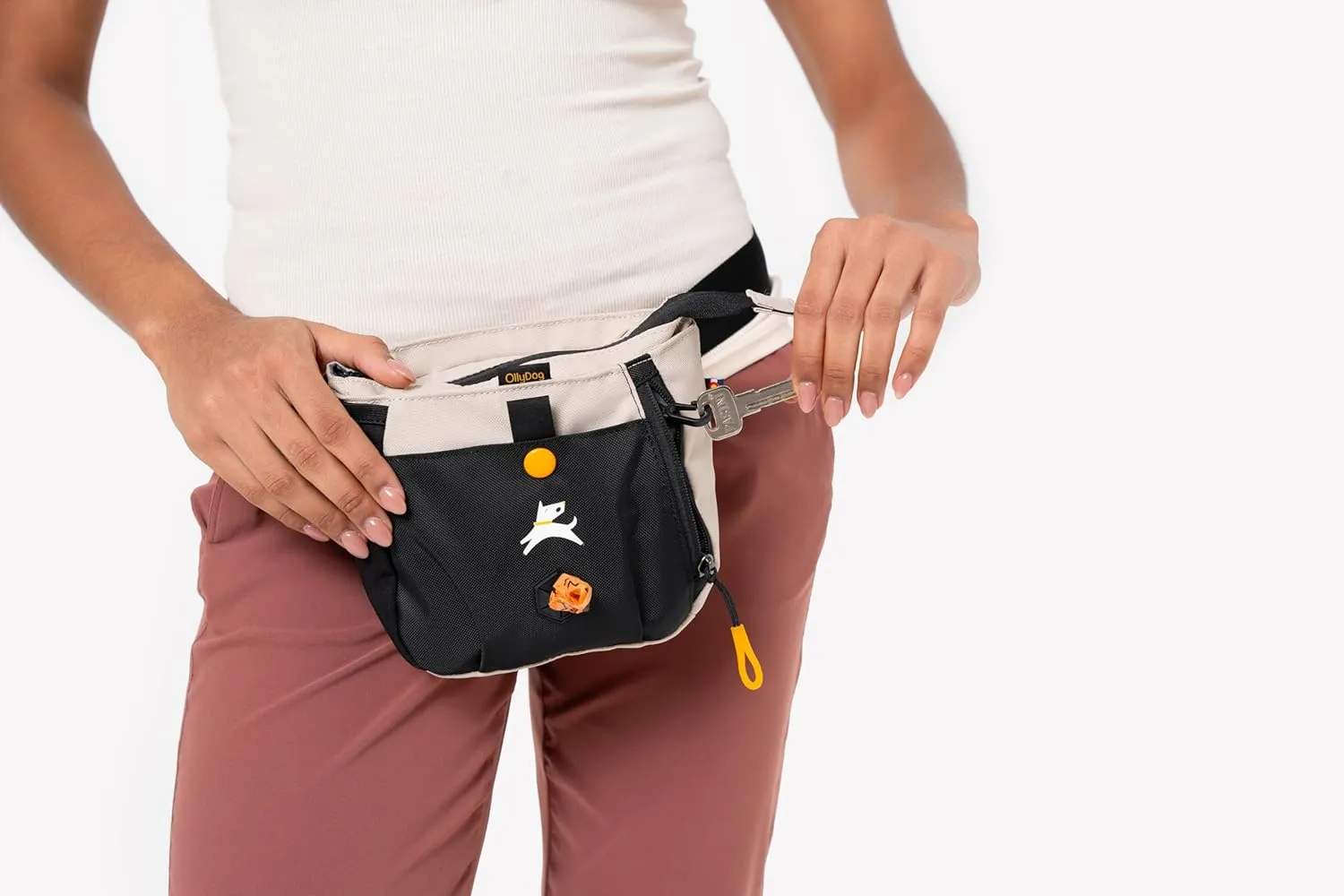 OllyDog Backcountry Day Bag | Hands-Free Dog Training Treat Pouch | Fanny/Hip Pack with Zipper Closure & Built-in Poop Bag Dispenser | Removable Waist Clip (Con Leche)