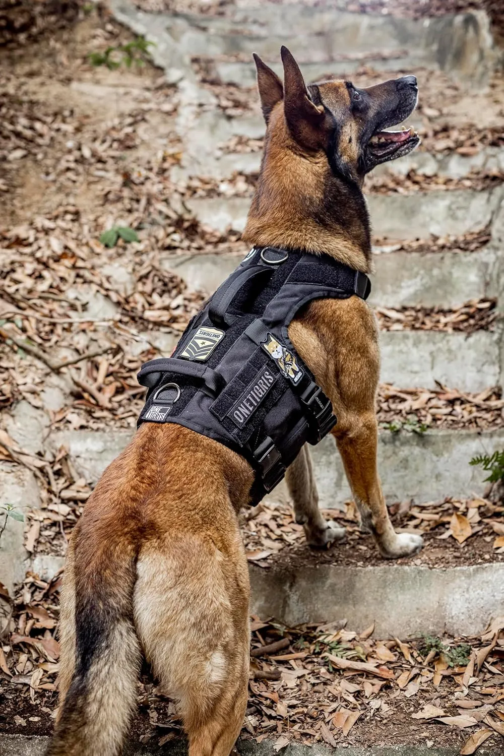 OneTigris Tactical Large Dog Harness, 5X Metal Buckled No Pull Service Dog Harness Vest with Hook & Loop Panels, Military Heavy Duty Dog Vest for Walking Hiking Training