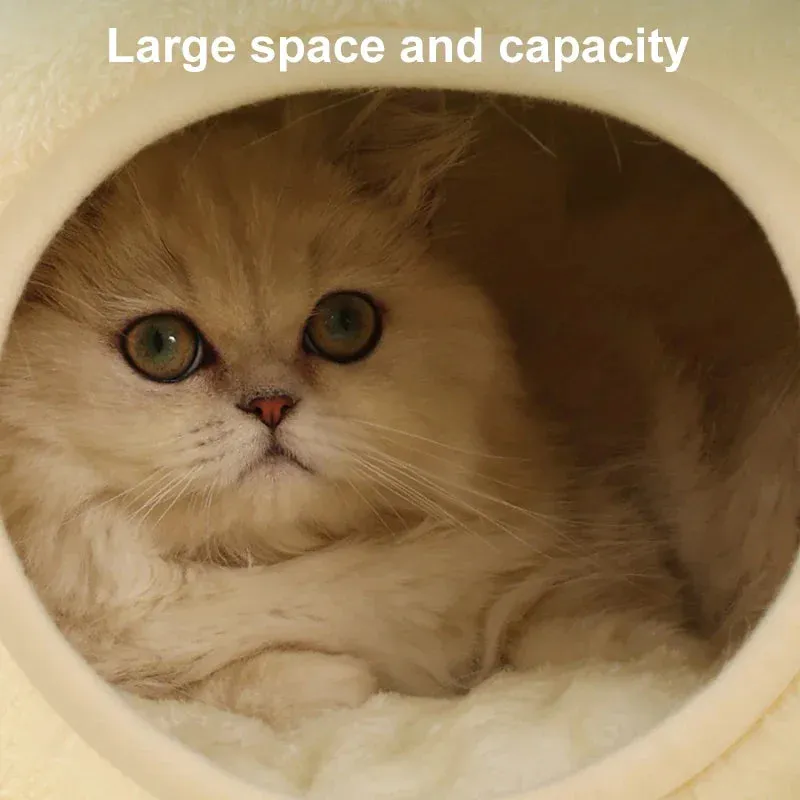 Pat and Pet Emporium | Pet Beds | Cartoon Frog Cat Dog House