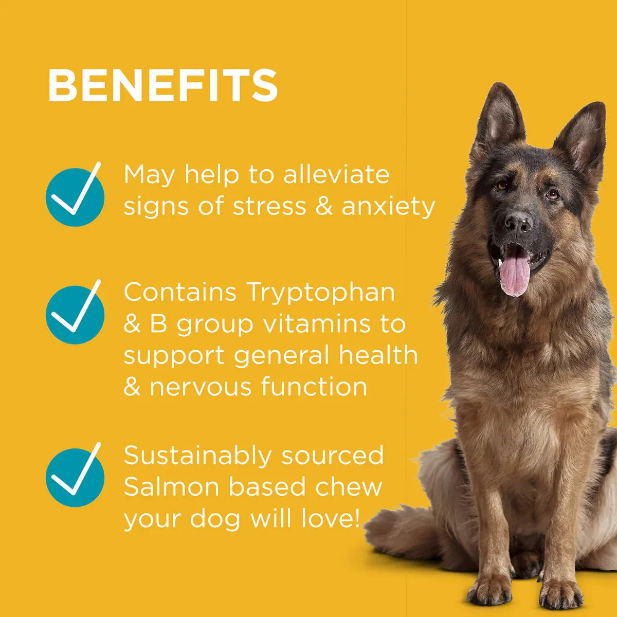 PAW - Complete Calm 300g - 60 Chews