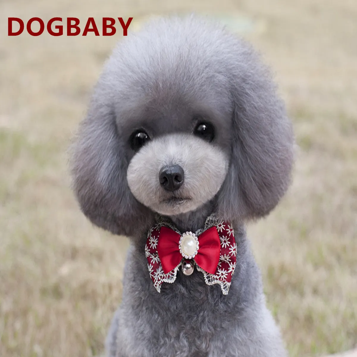 Pet collar bells bow tie cute pet supplies
