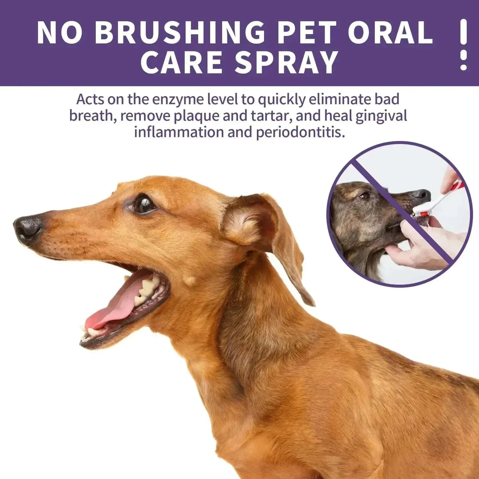 Pet Dental Spray: Fresh Breath and Sparkling Teeth for Dogs and Cats!
