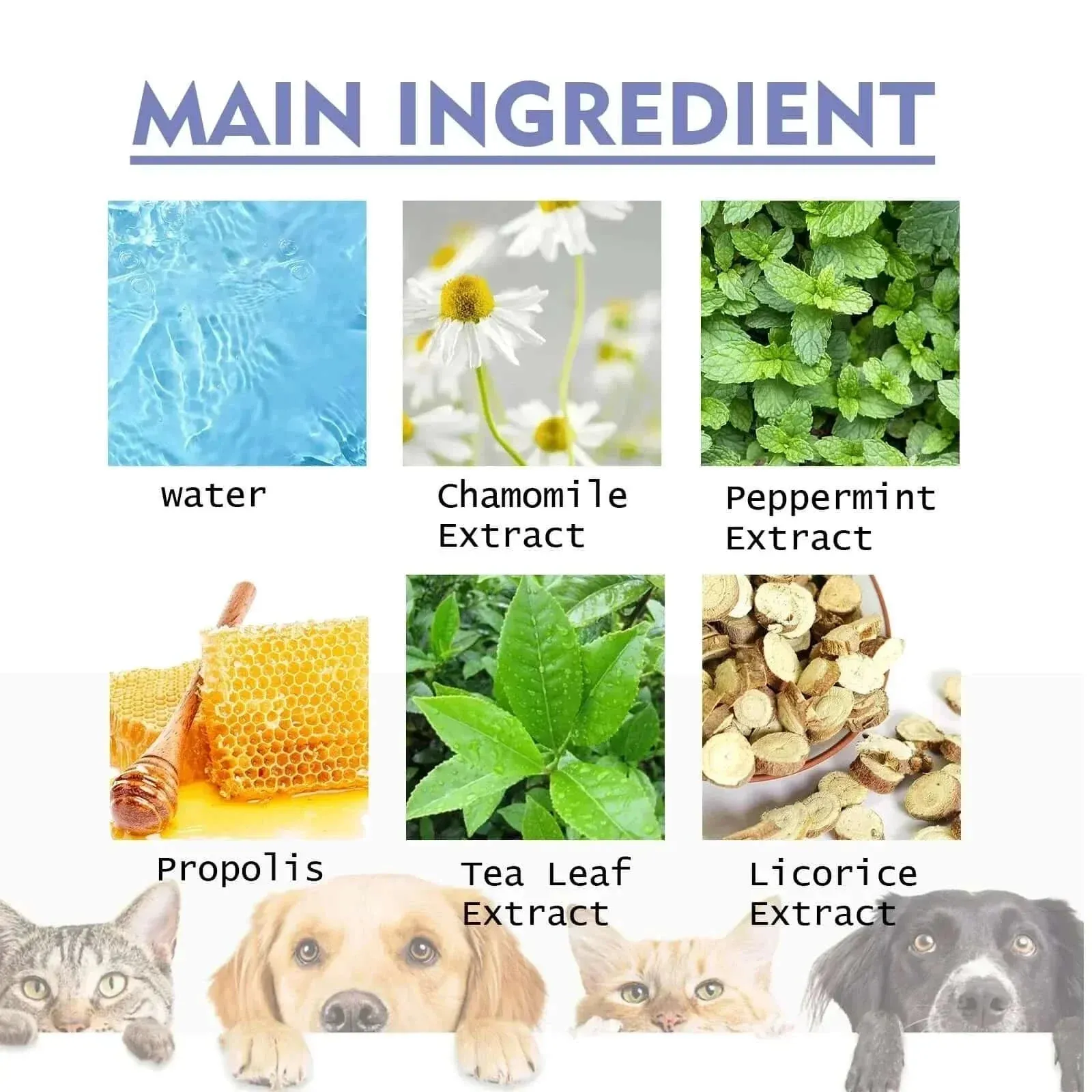 Pet Dental Spray: Fresh Breath and Sparkling Teeth for Dogs and Cats!