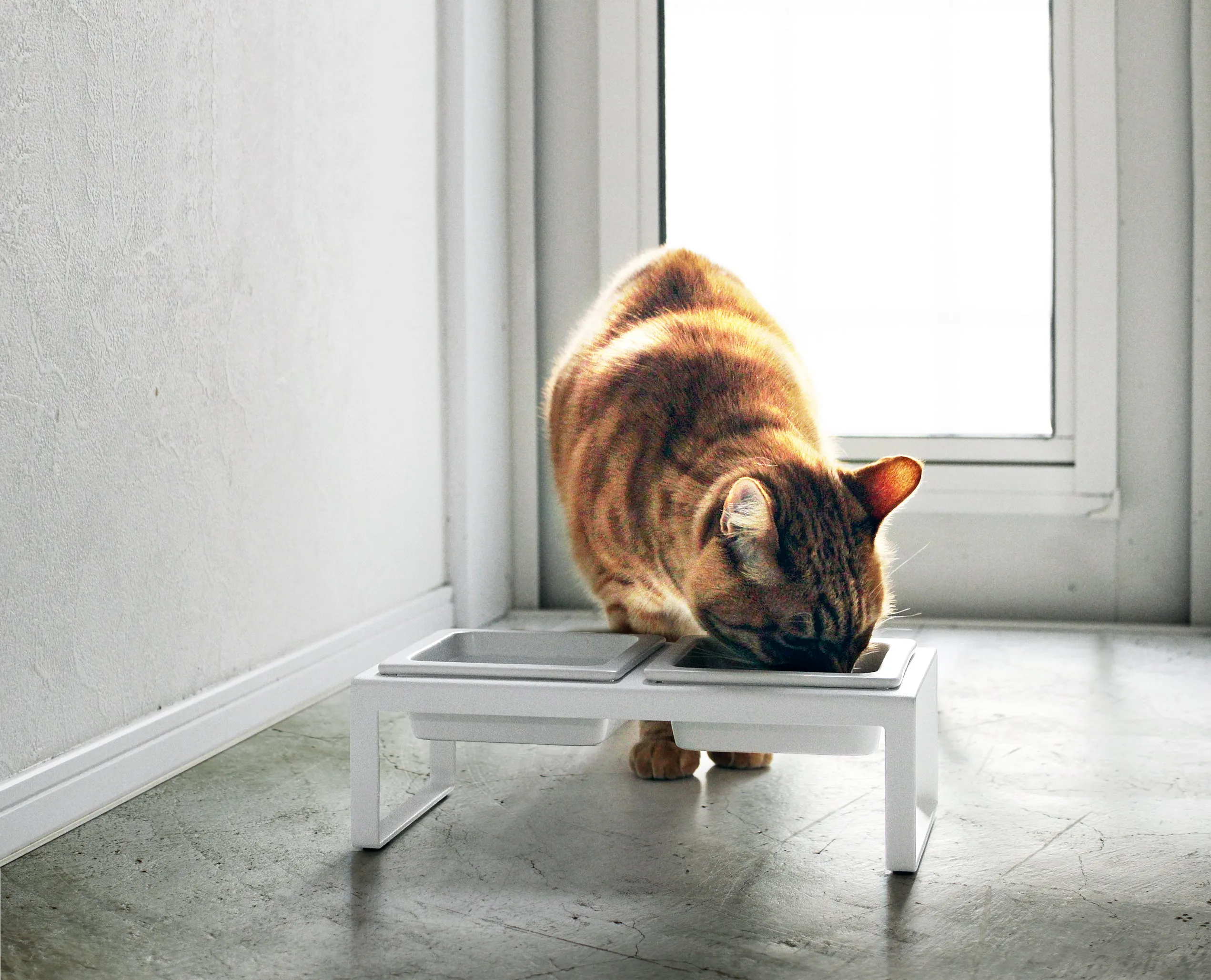 Pet Food Bowls with Stand