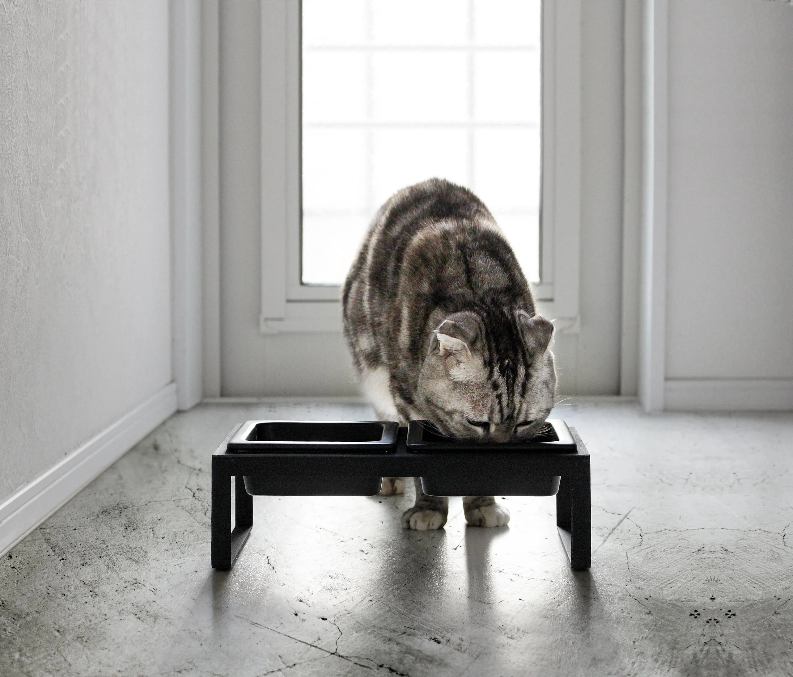 Pet Food Bowls with Stand
